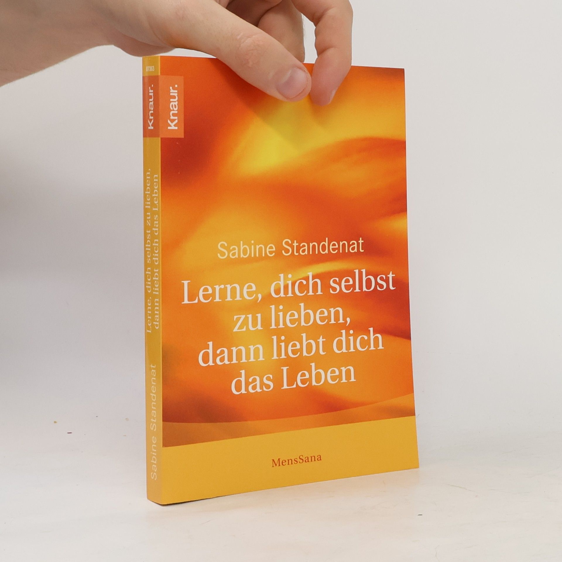 Sabine Stendenat Lerne, dich selbst zu lieben, dann liebt dich das Leben