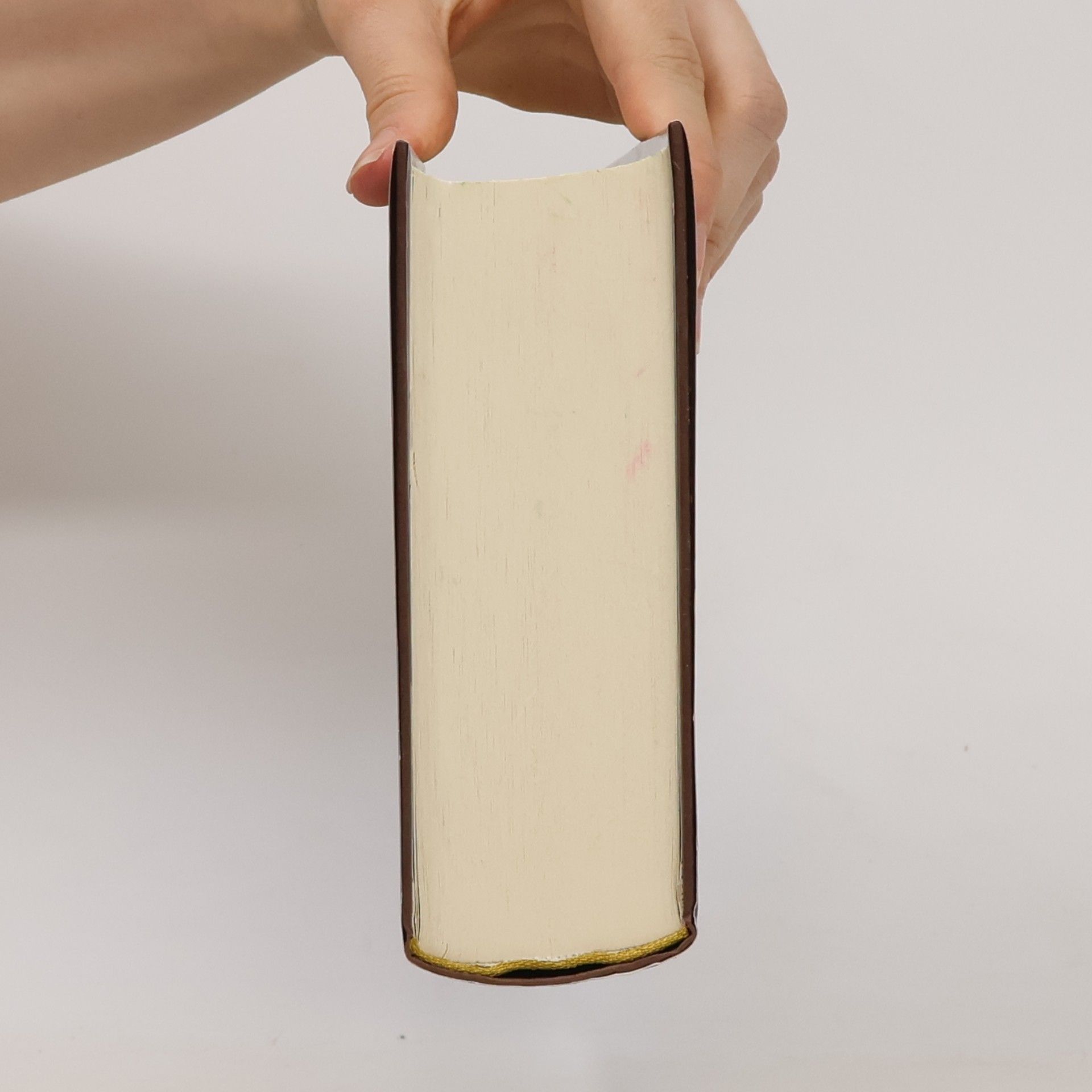 Ellen Jones Die Erbin der Krone