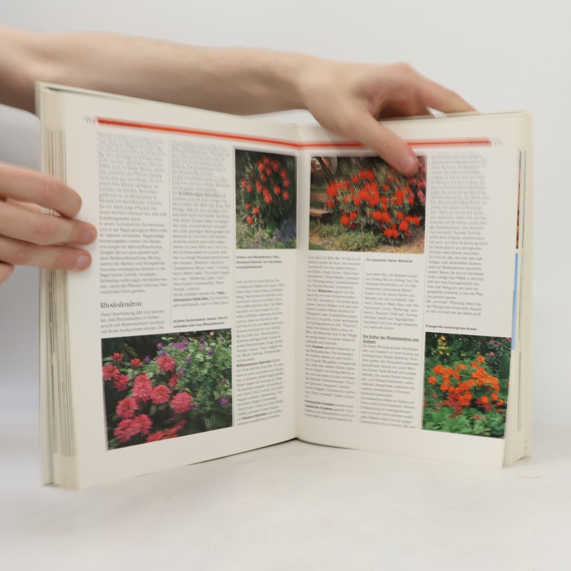 Jürgen Wolff Freude und Erfolg im Garten