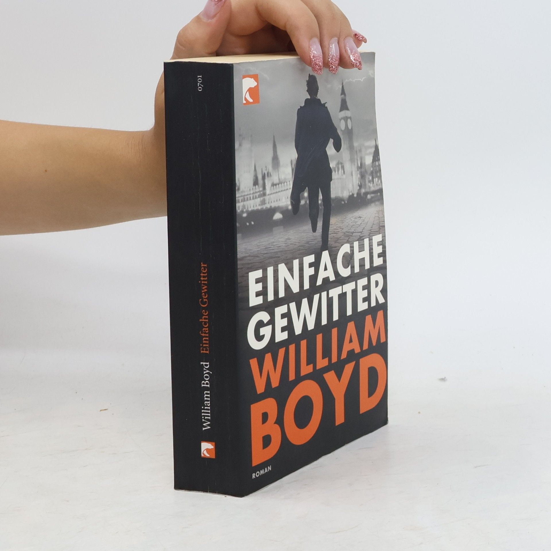 William Boyd Einfache Gewitter