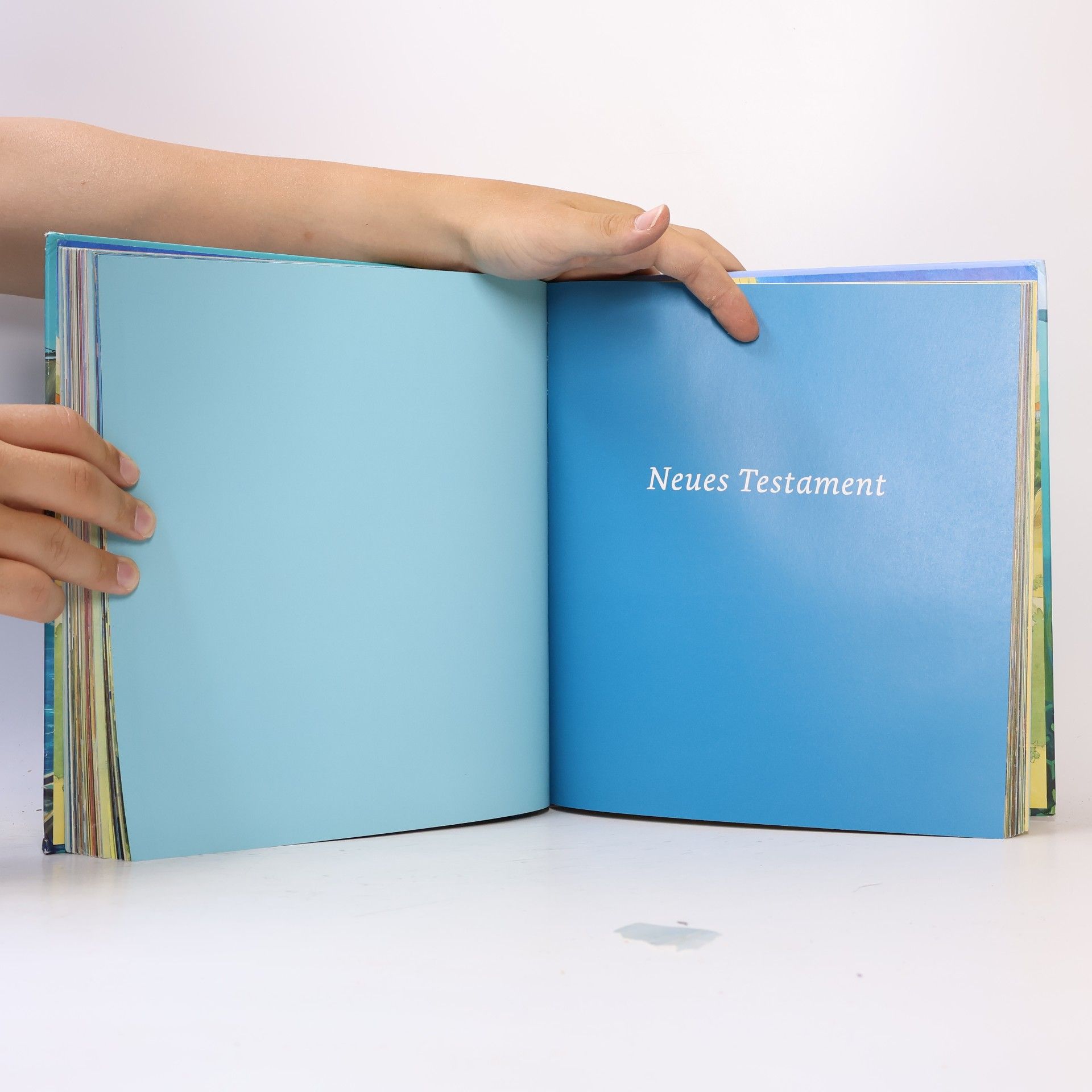 Tanja Jeschke Die große Bibel für Kinder
