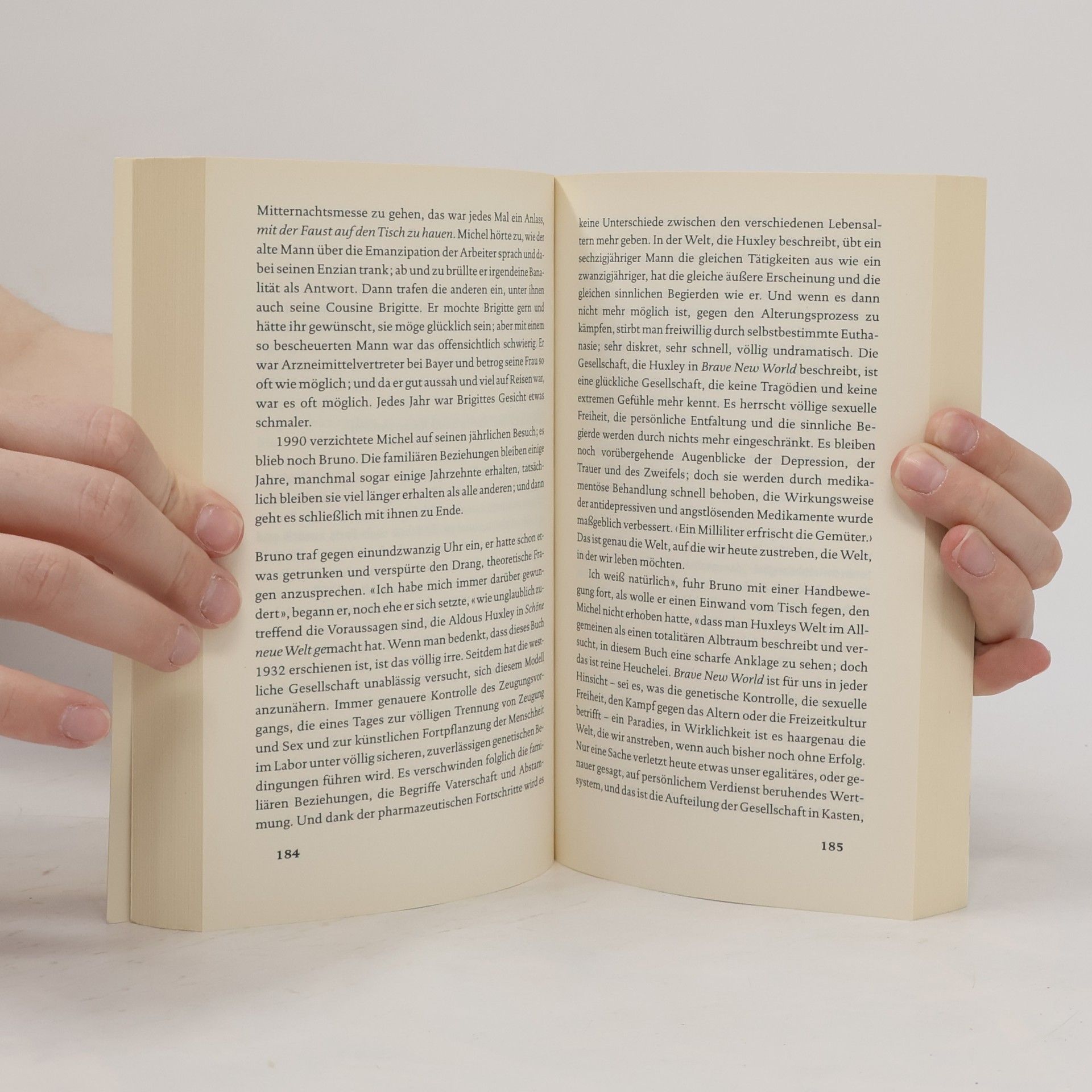 Michel Houellebecq Elementarteilchen