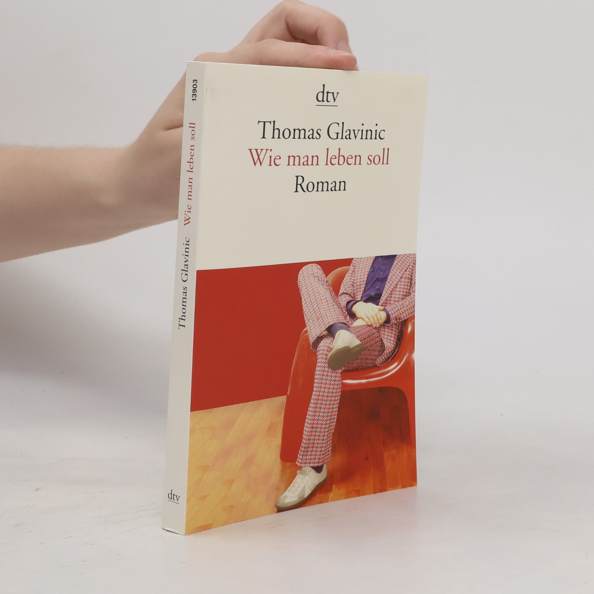 Thomas Glavinic Wie Man leben Soll