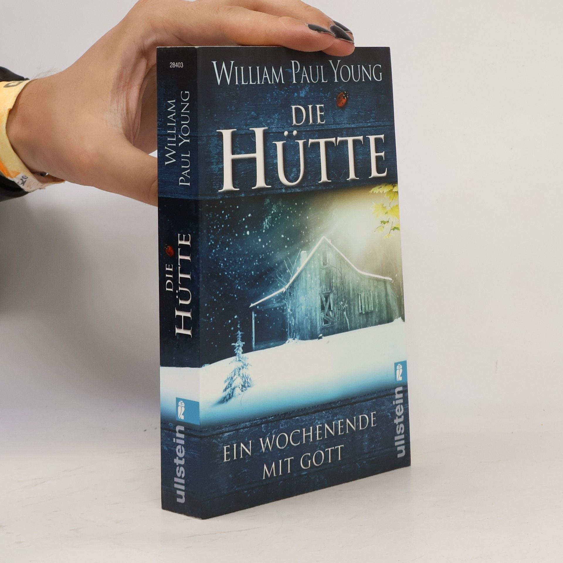 William P. Young Die Hütte