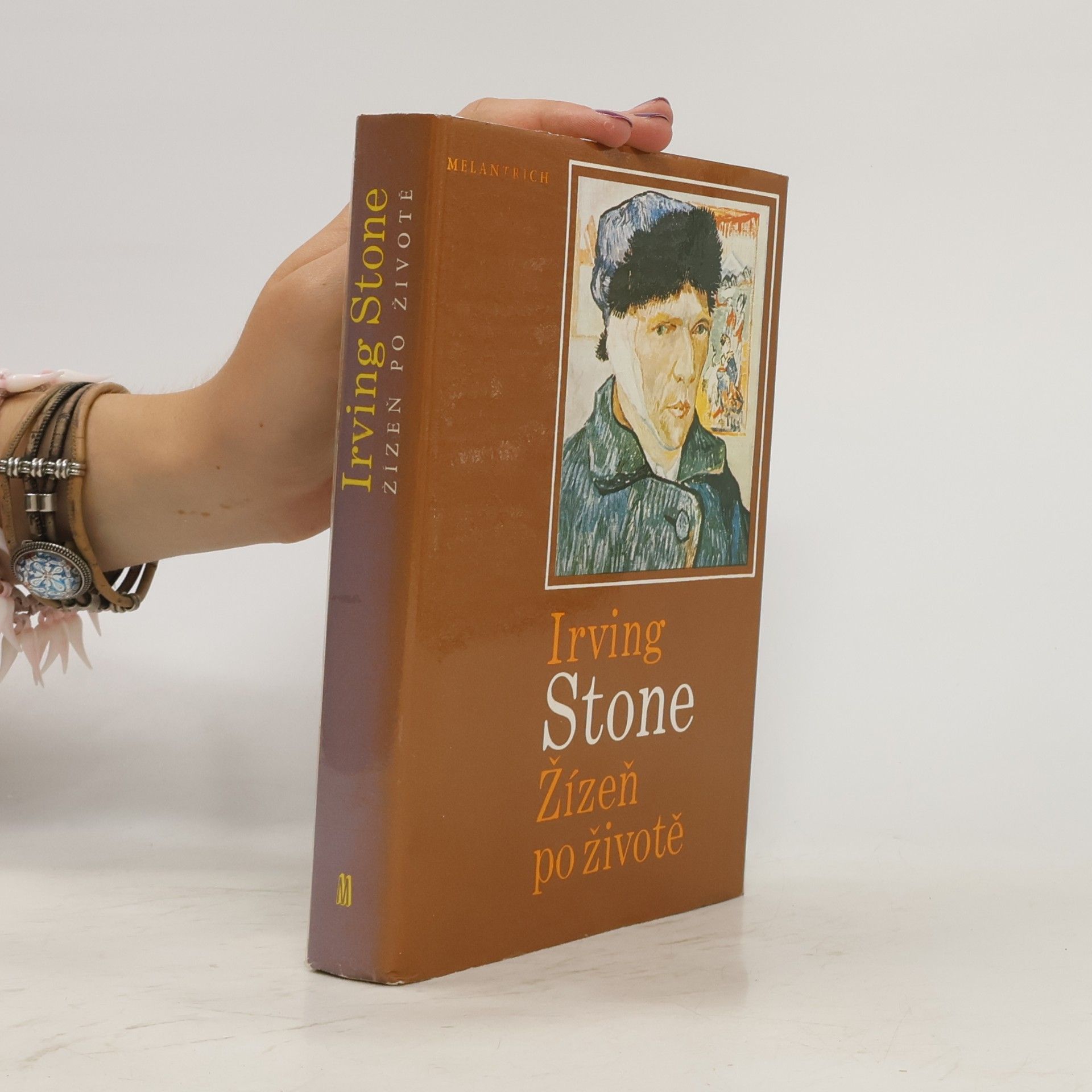 Irving Stone Žízeň po životě