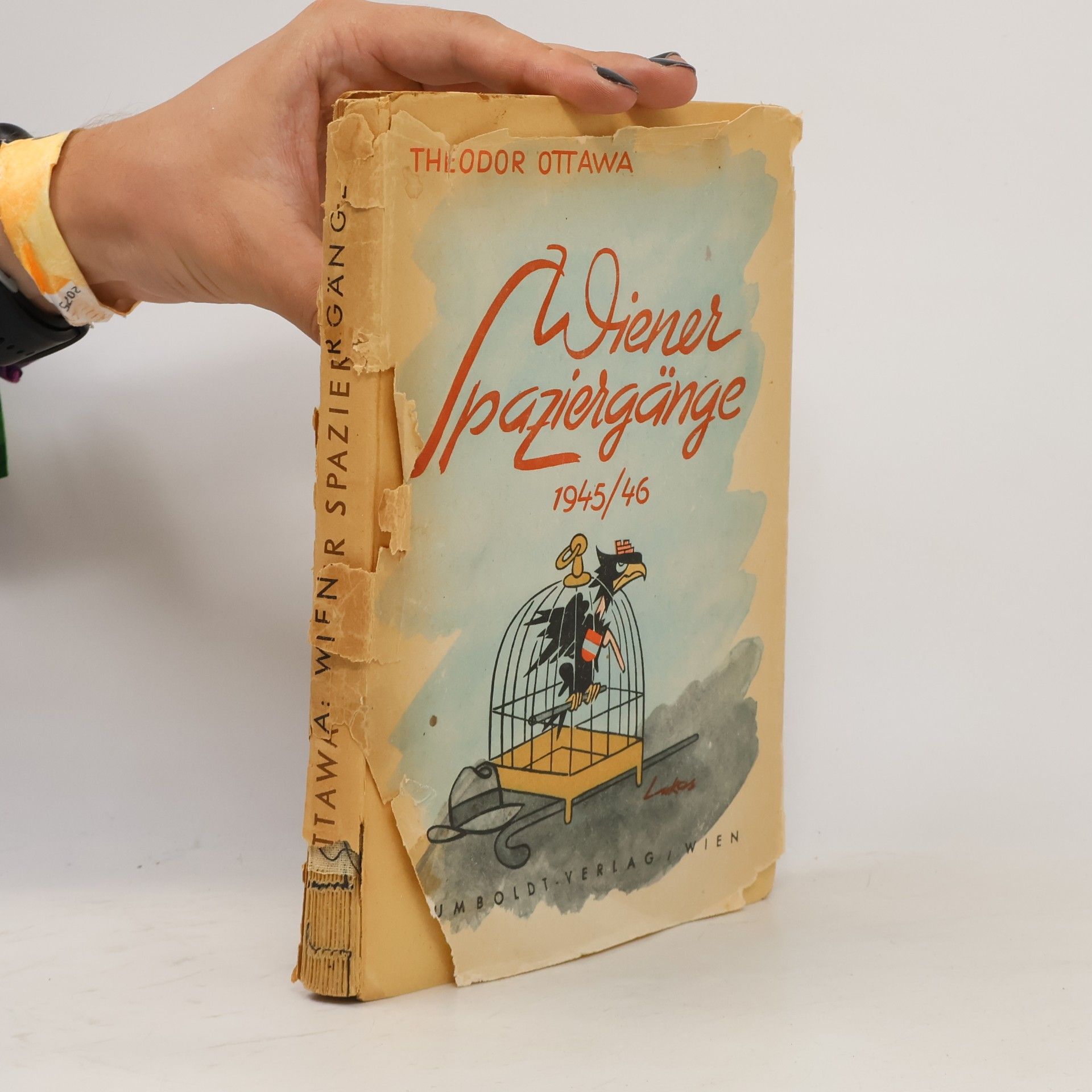 Theodor Ottawa Wiener Spaziergänge 1945/46