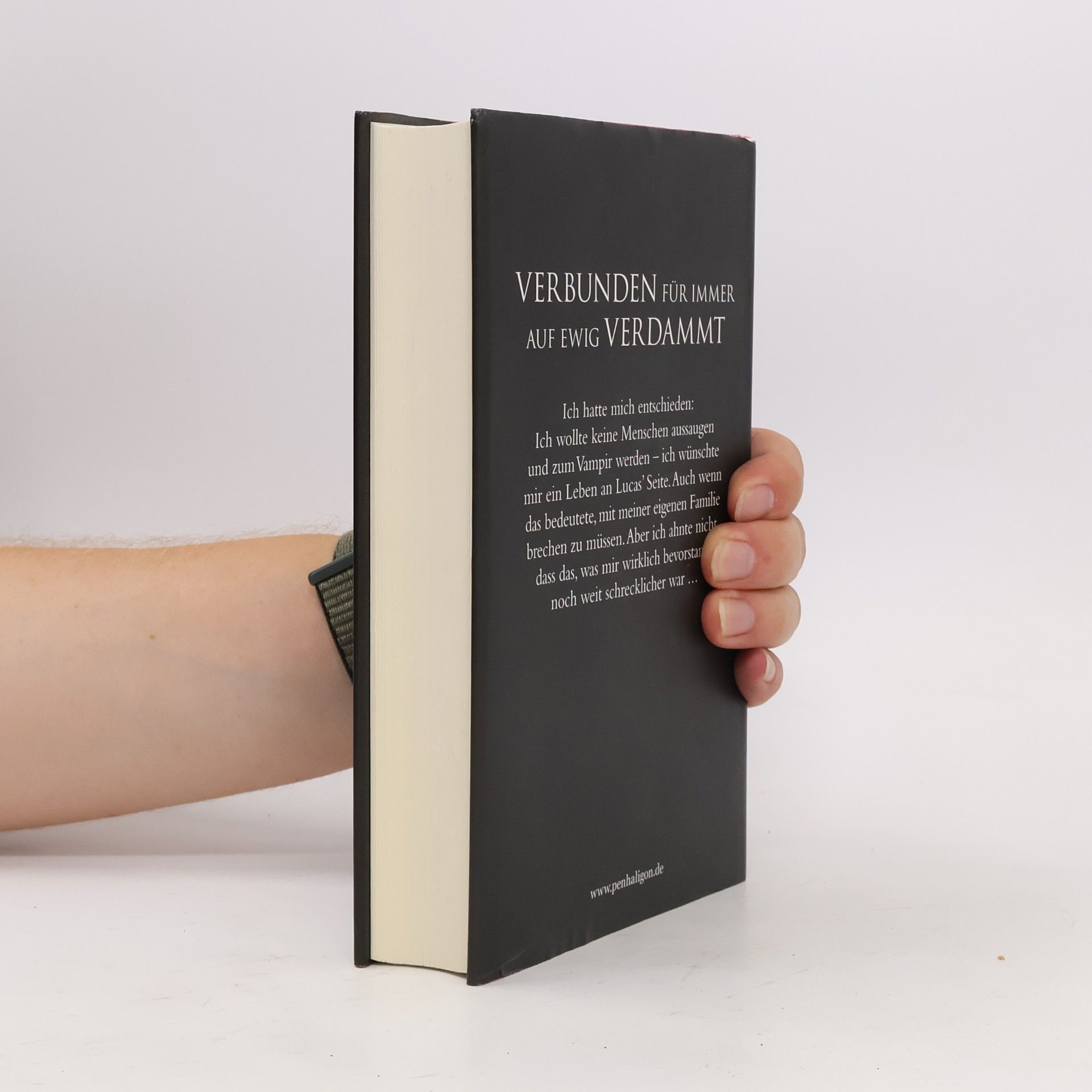 Claudia Gray Evernight 3: Hüterin des Zwielichts