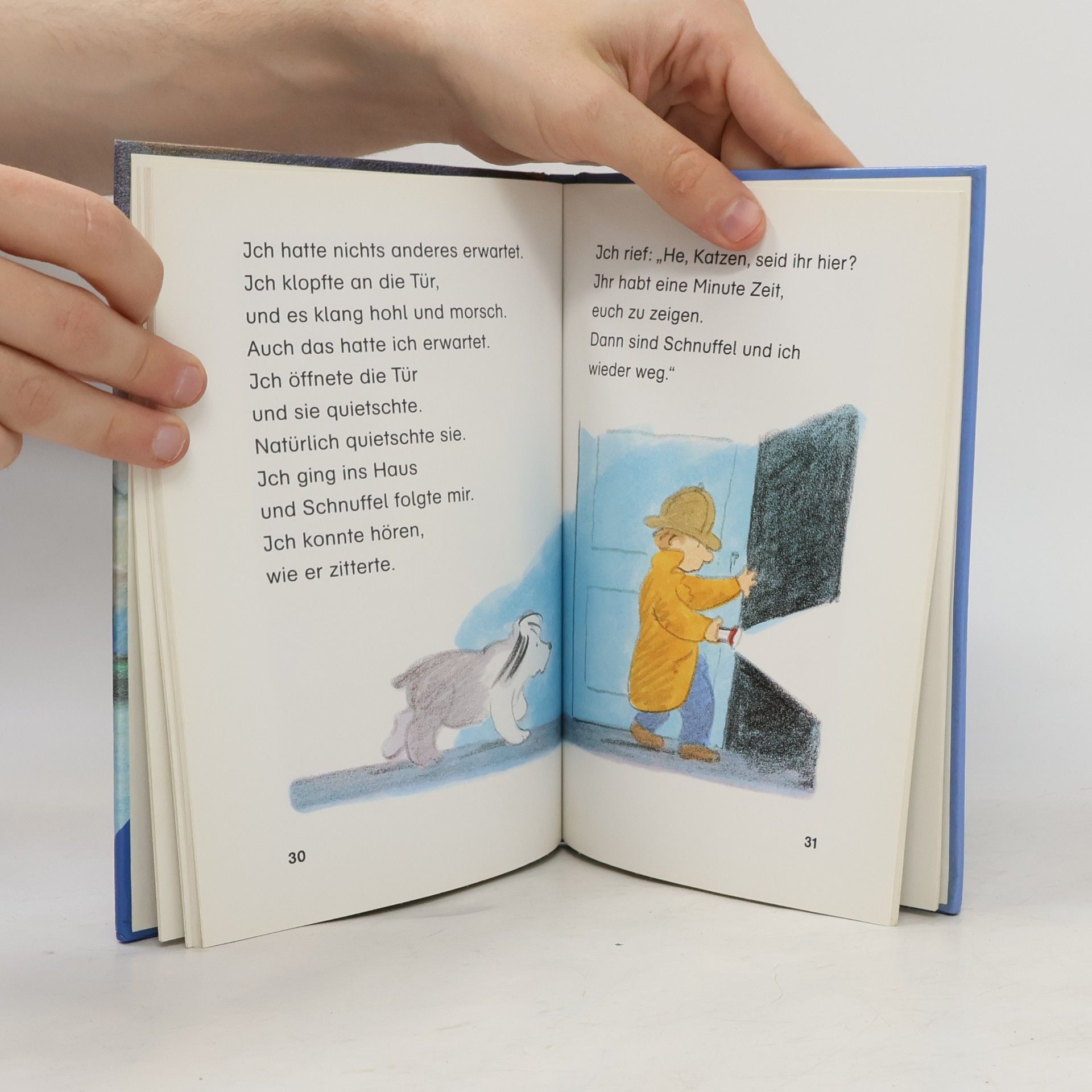 Marjorie Weinman Sharmat Nick Nase und die Geister