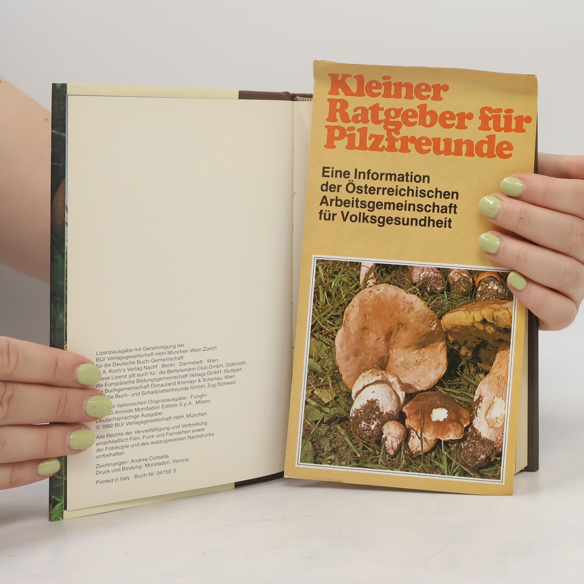 Giovanni Pacioni Das große Handbuch der Pilze