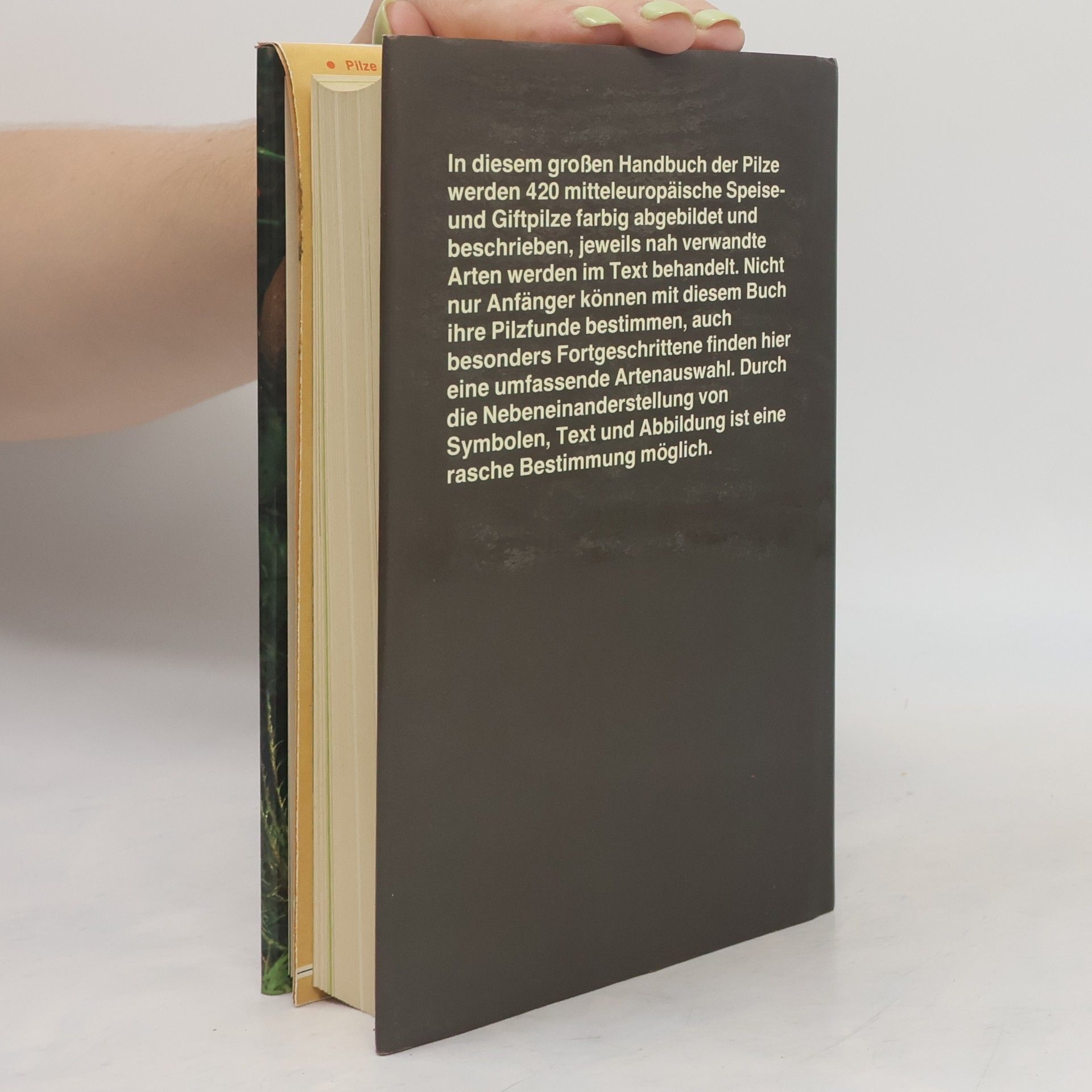 Giovanni Pacioni Das große Handbuch der Pilze