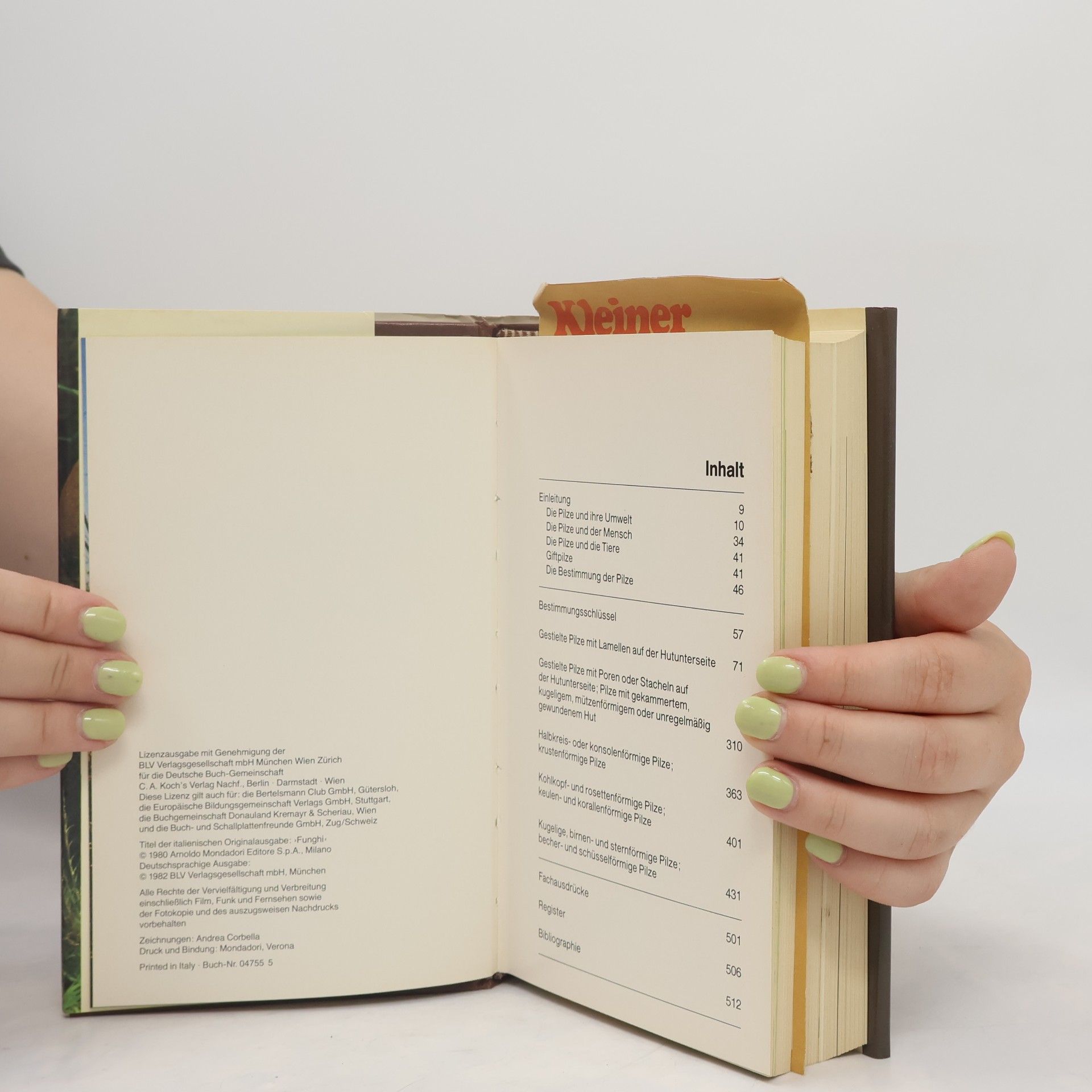 Giovanni Pacioni Das große Handbuch der Pilze