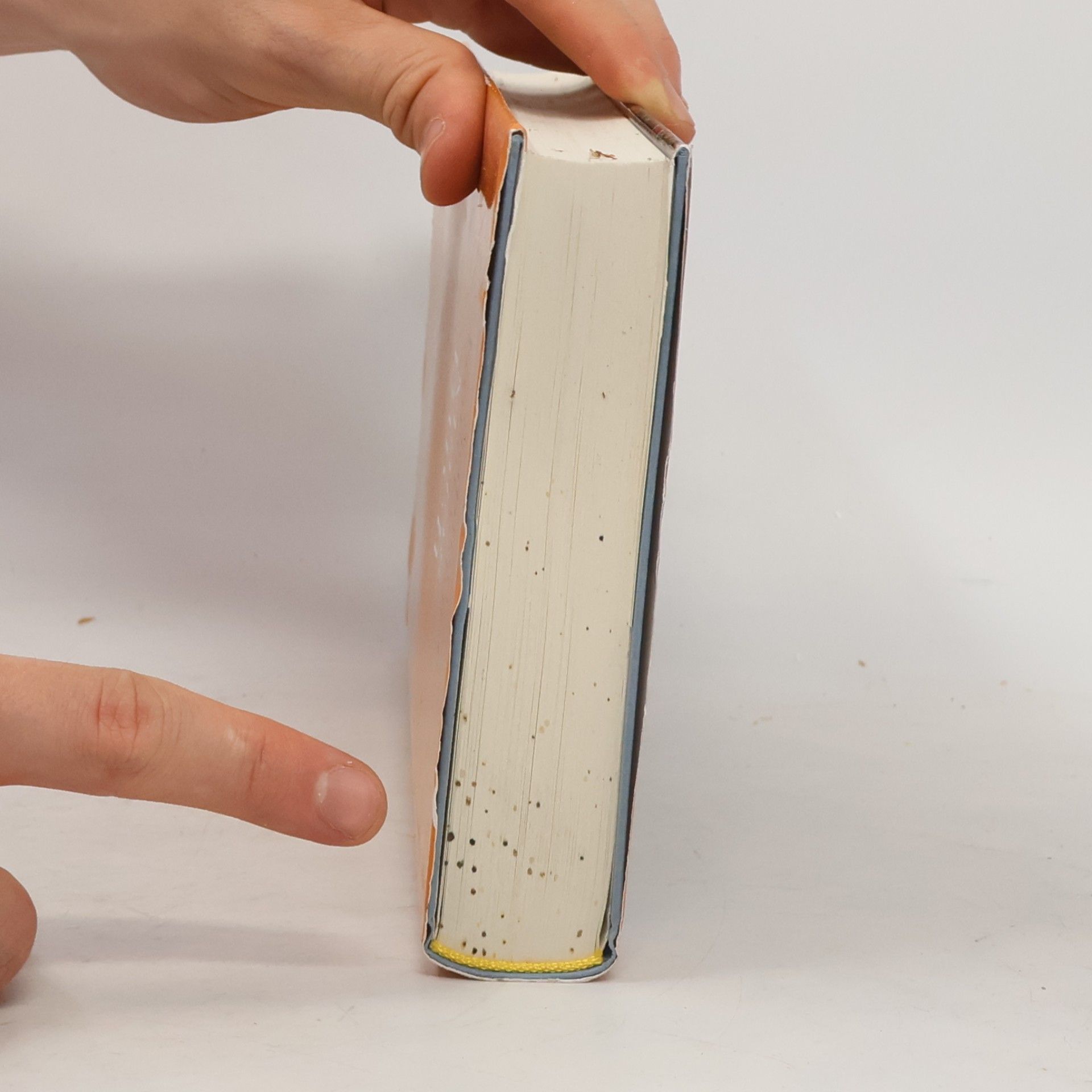 Sabine Kornbichler Majas Buch