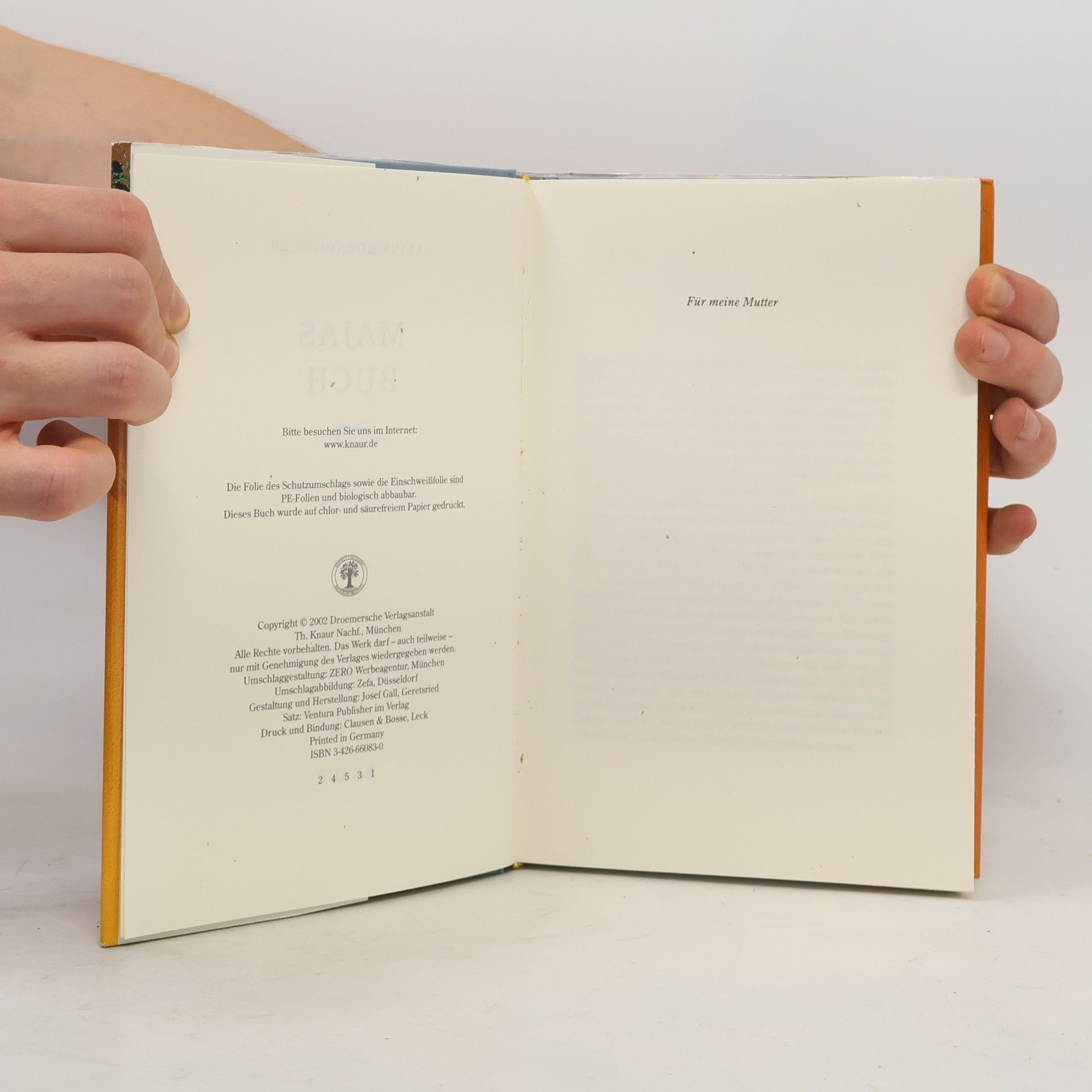 Sabine Kornbichler Majas Buch
