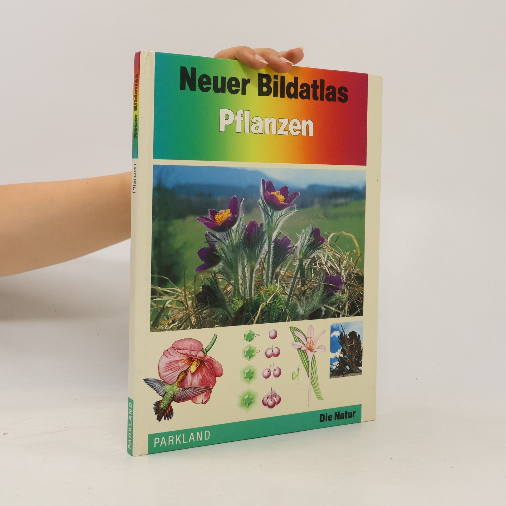 Autorenkollektiv Neuer Bildatlas