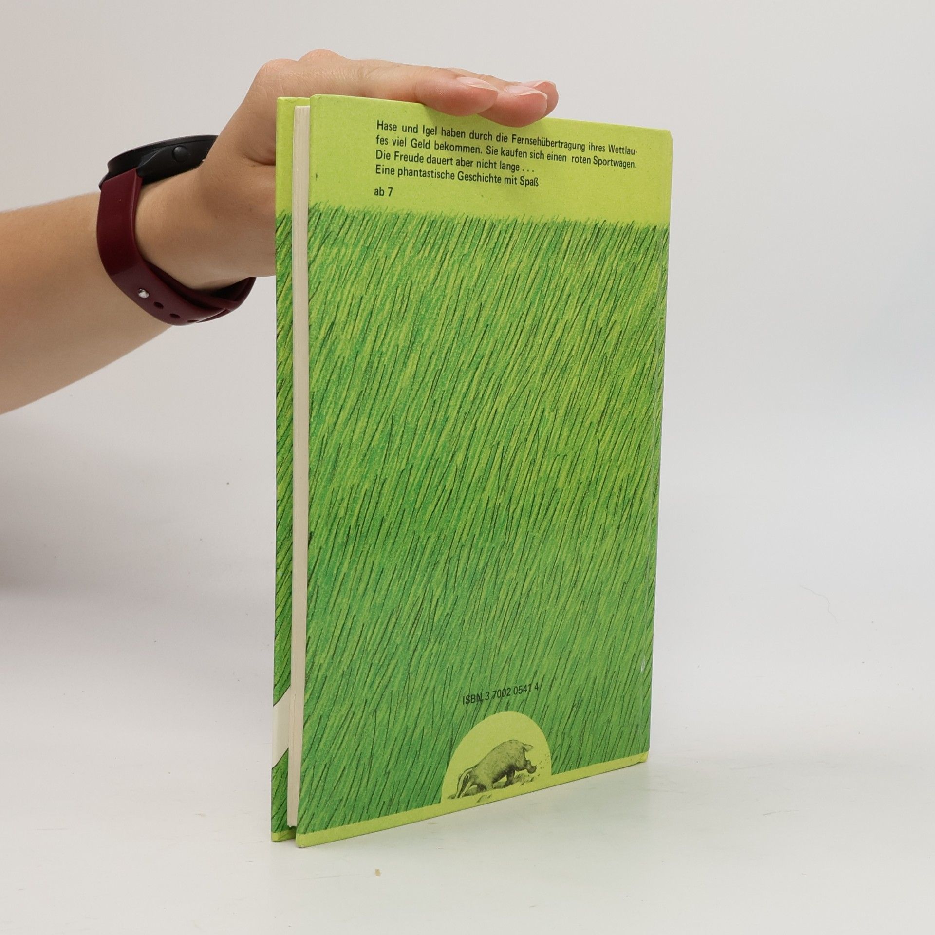 F. S. Sklenitzka Hase und Igel, Der rote Sportwagen
