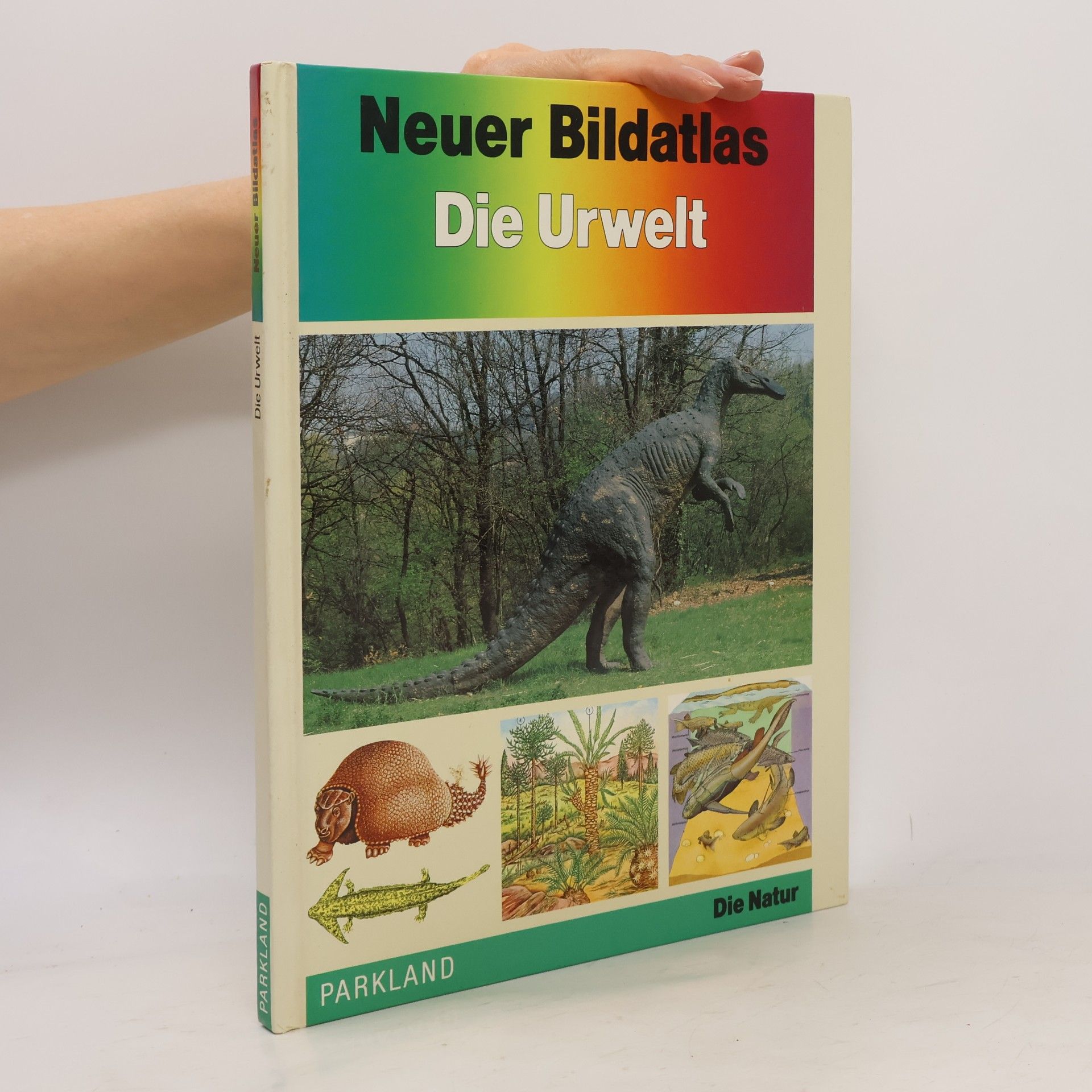 Autorenkollektiv Neuer Bildatlas