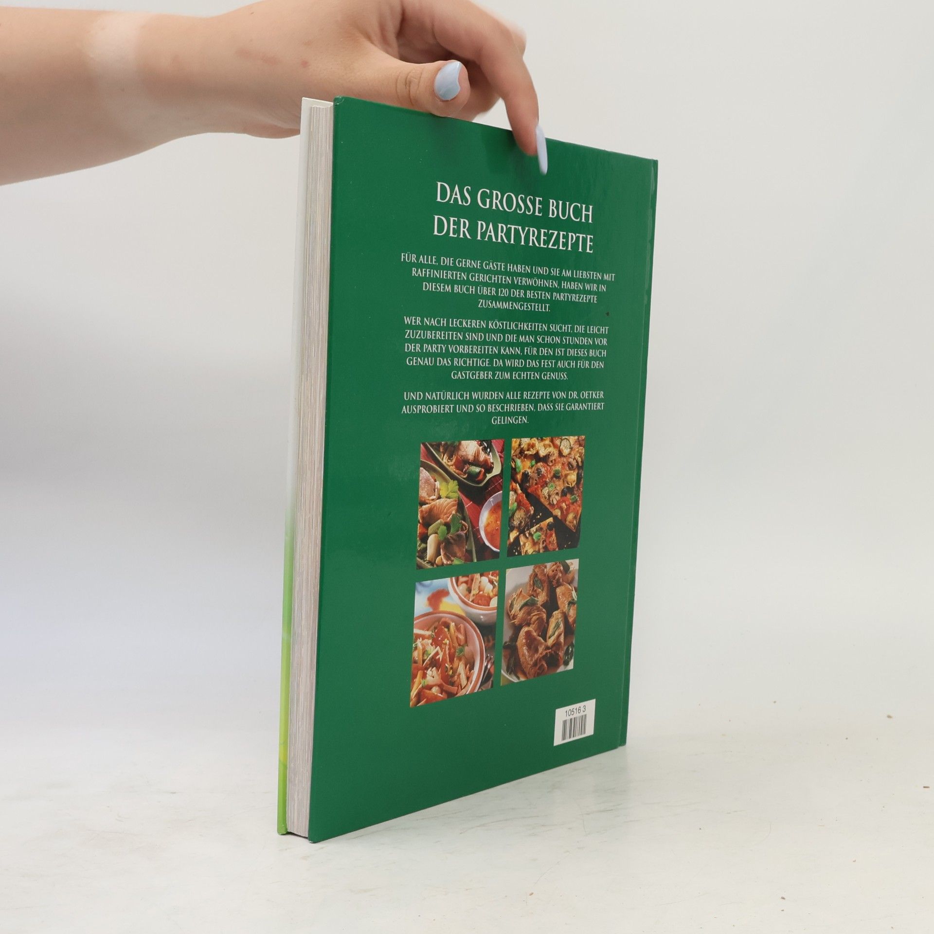 Kolektiv autorů Das Grosse buch der Party Rezepte