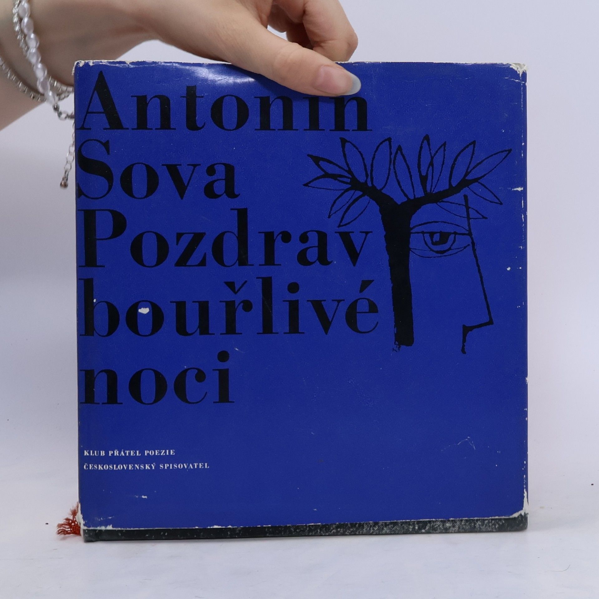 Antonín Sova Pozdrav bouřlivé noci