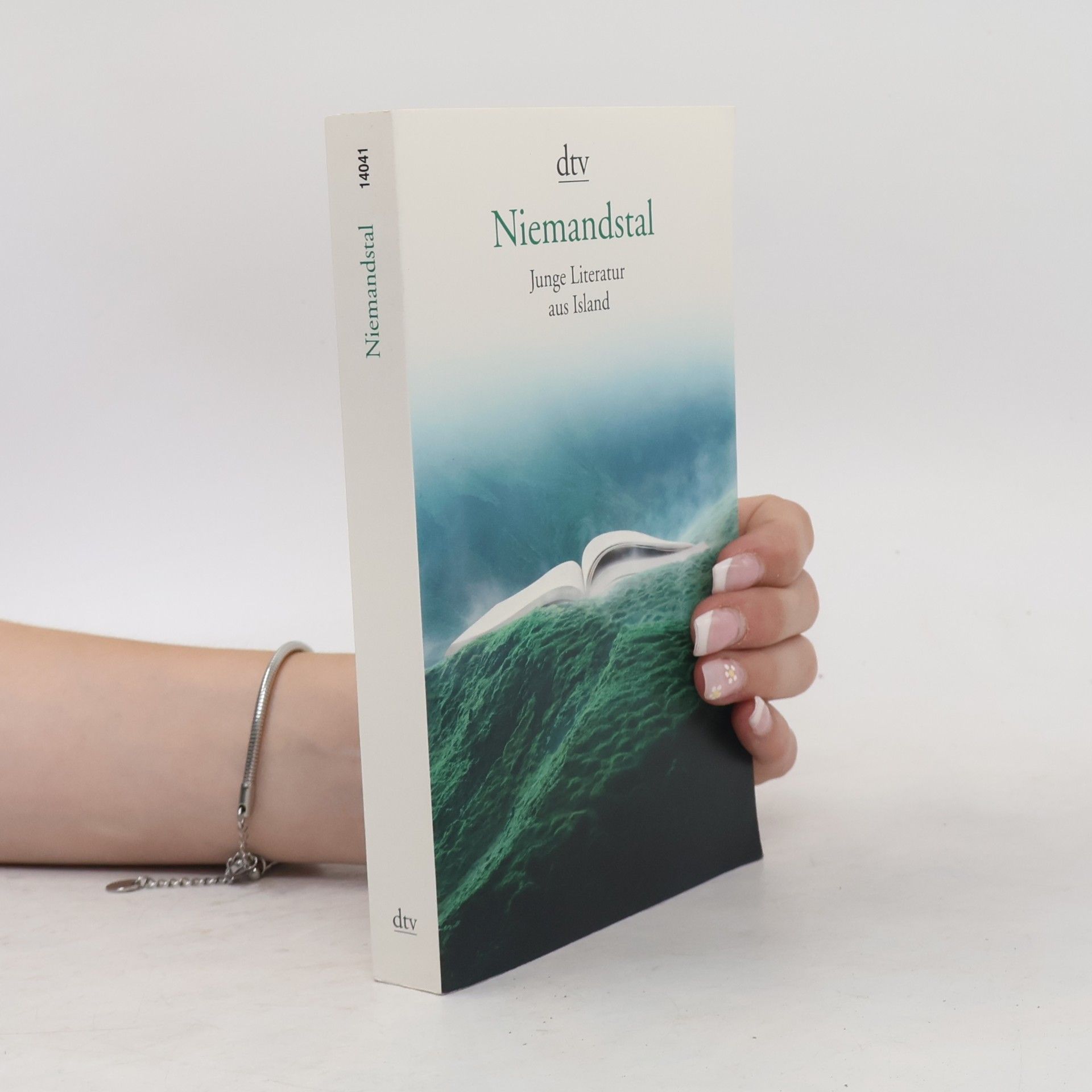 Ursula Giger Niemandstal