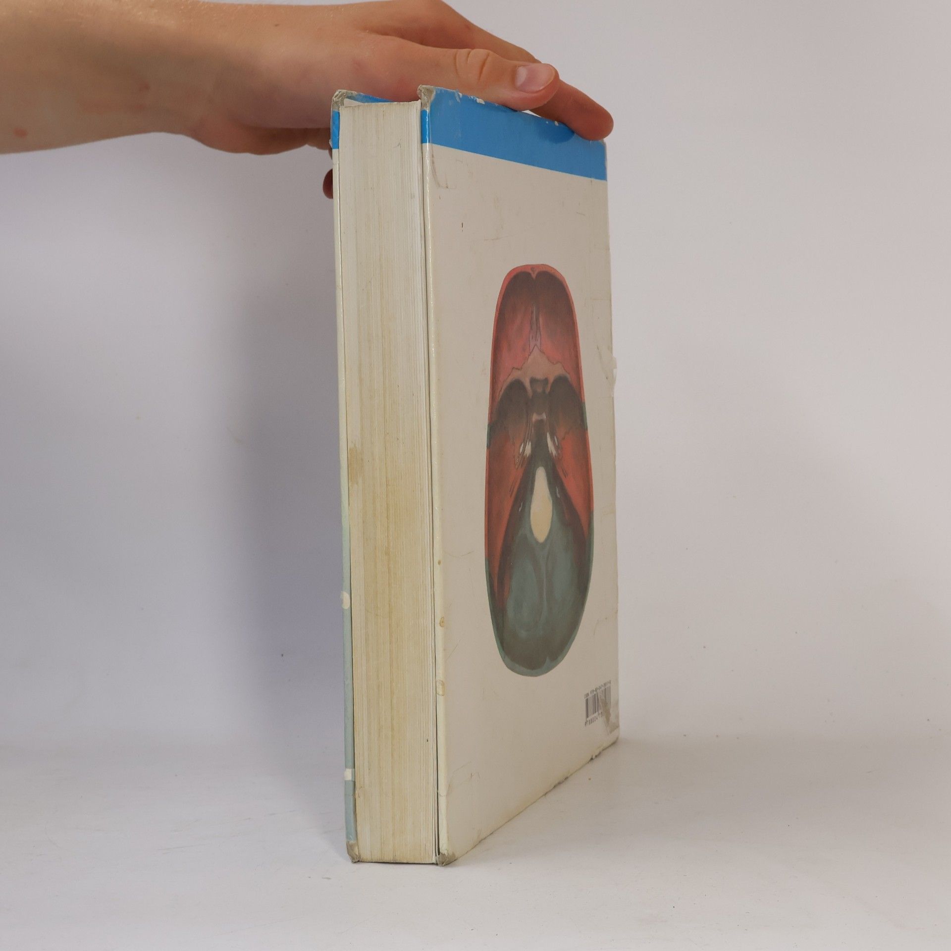 Oldřich Fejfar Anatomie 1