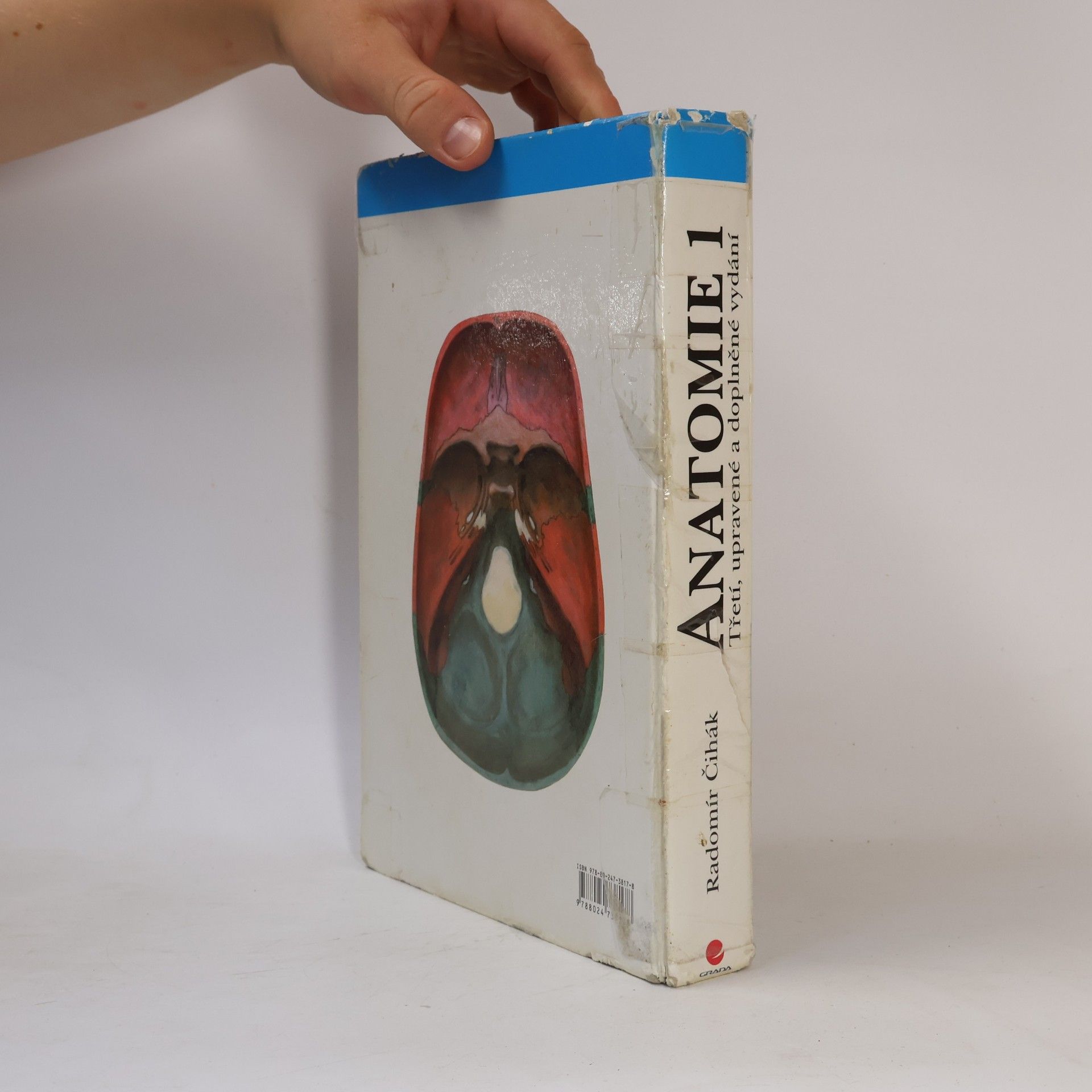 Oldřich Fejfar Anatomie 1