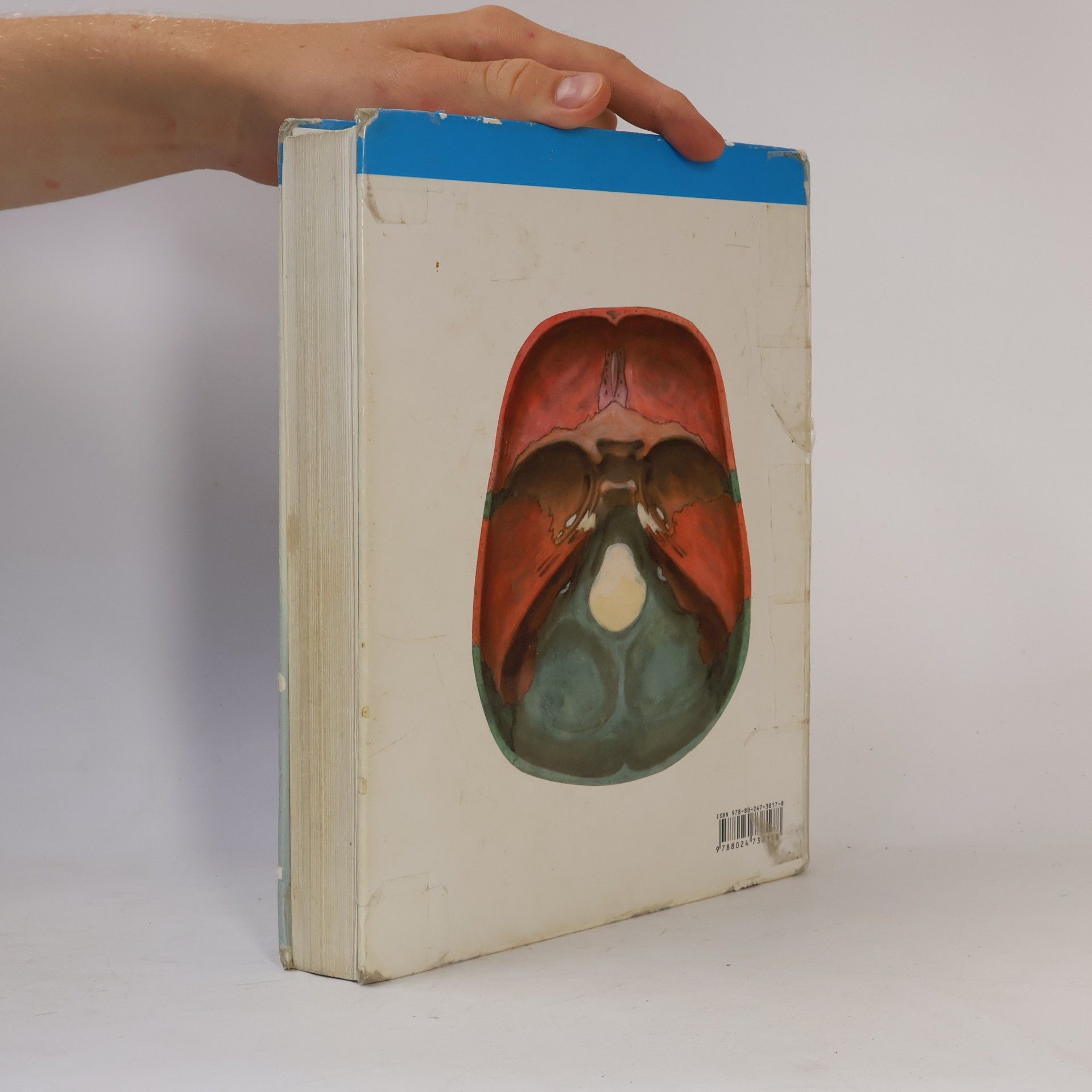Oldřich Fejfar Anatomie 1
