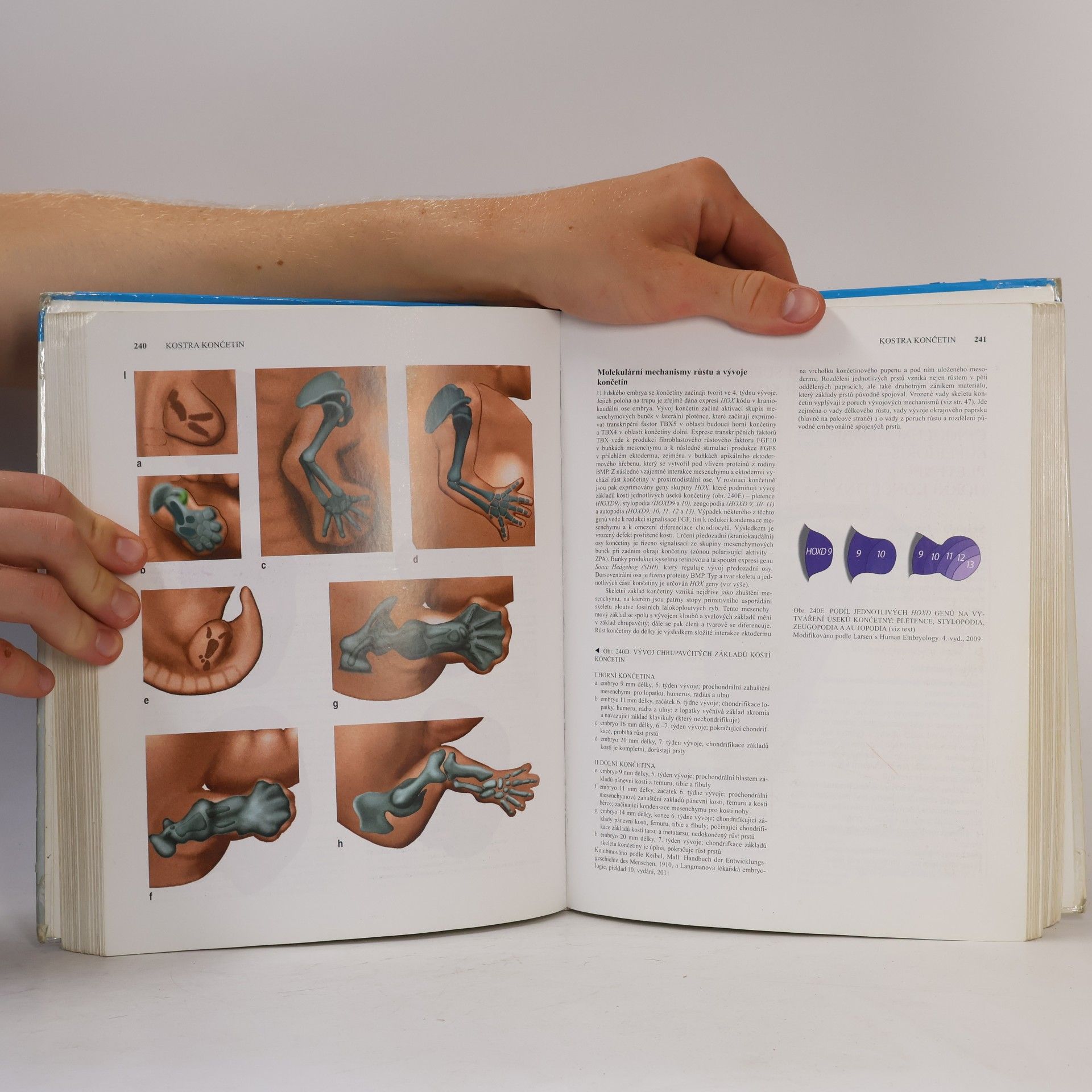 Oldřich Fejfar Anatomie 1