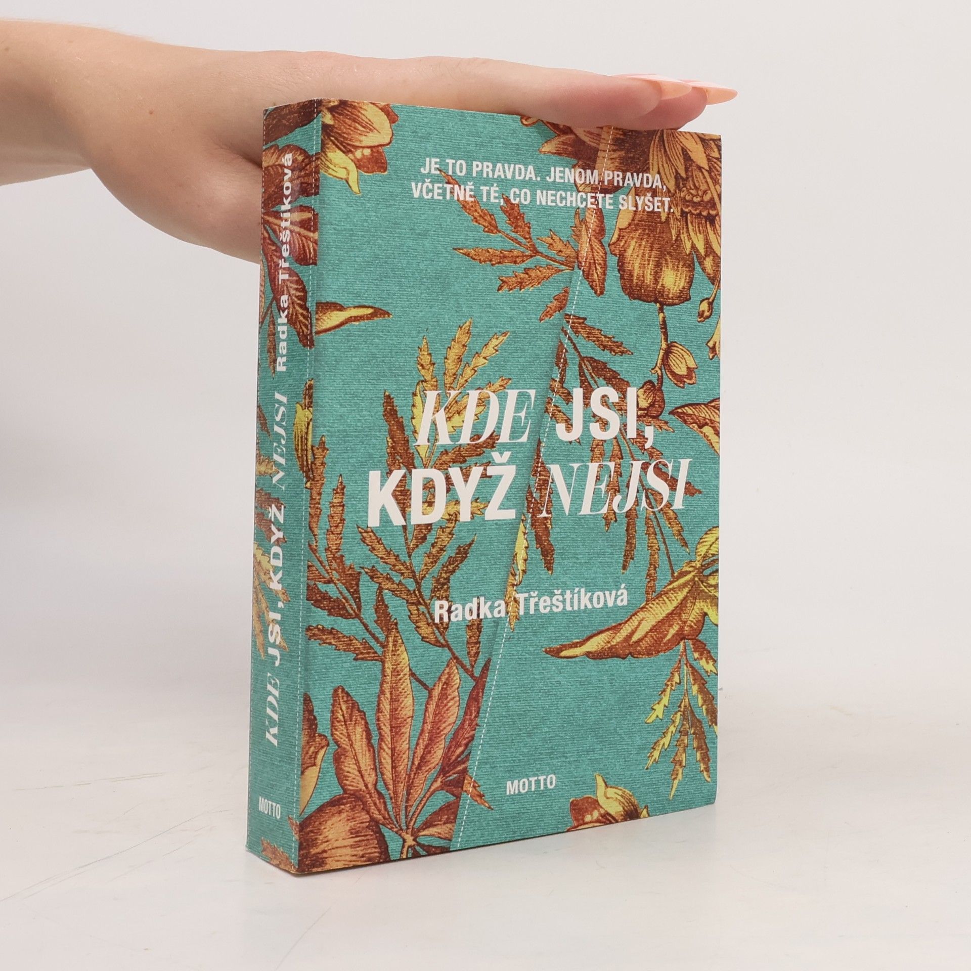 Radka Třeštíková Kde jsi, když nejsi