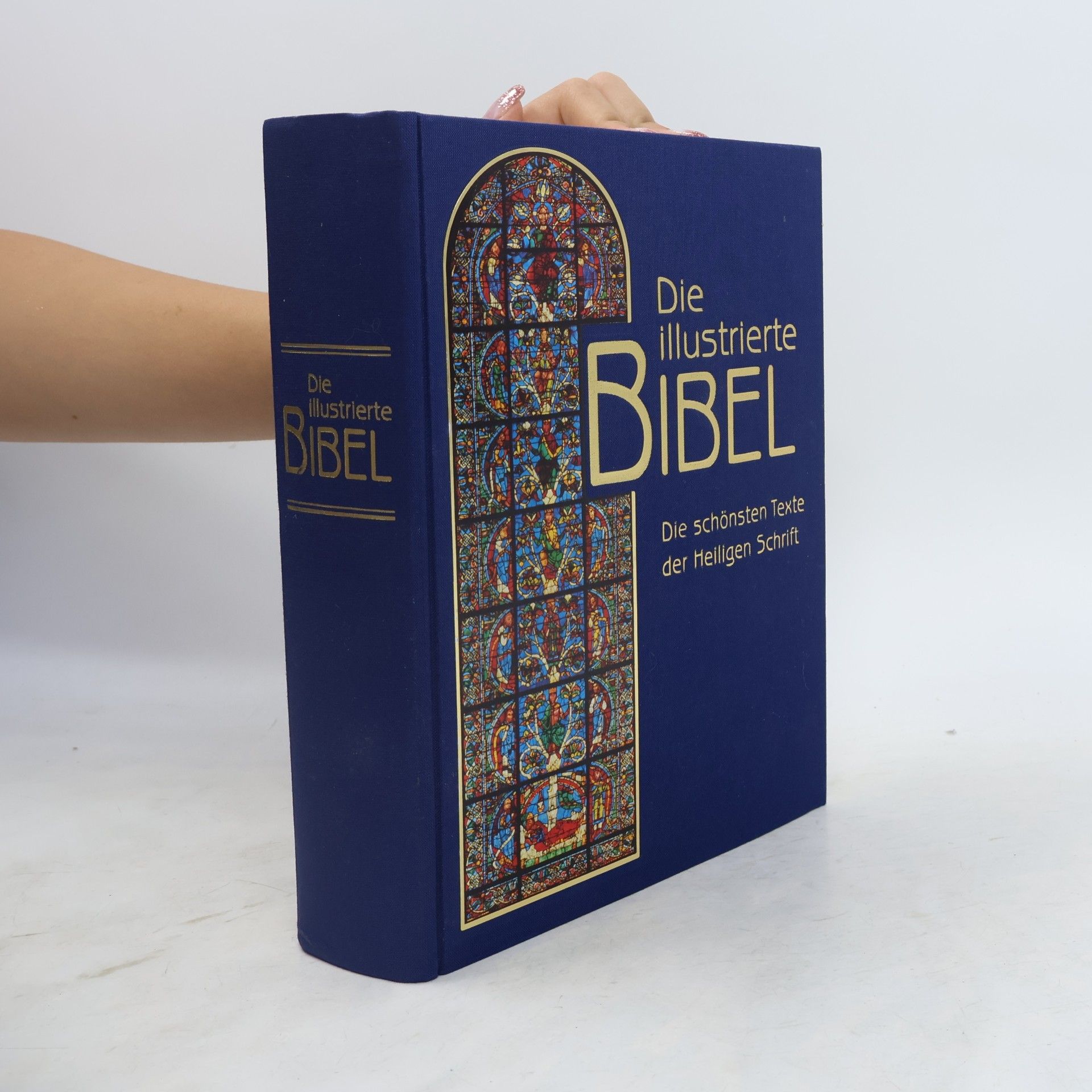 Falko Spiller Die illustrierte Bibel