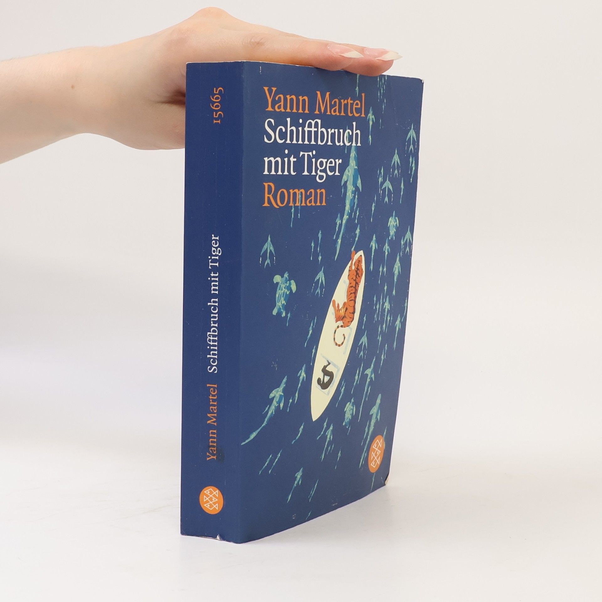Yann Martel Schiffbruch mit Tiger