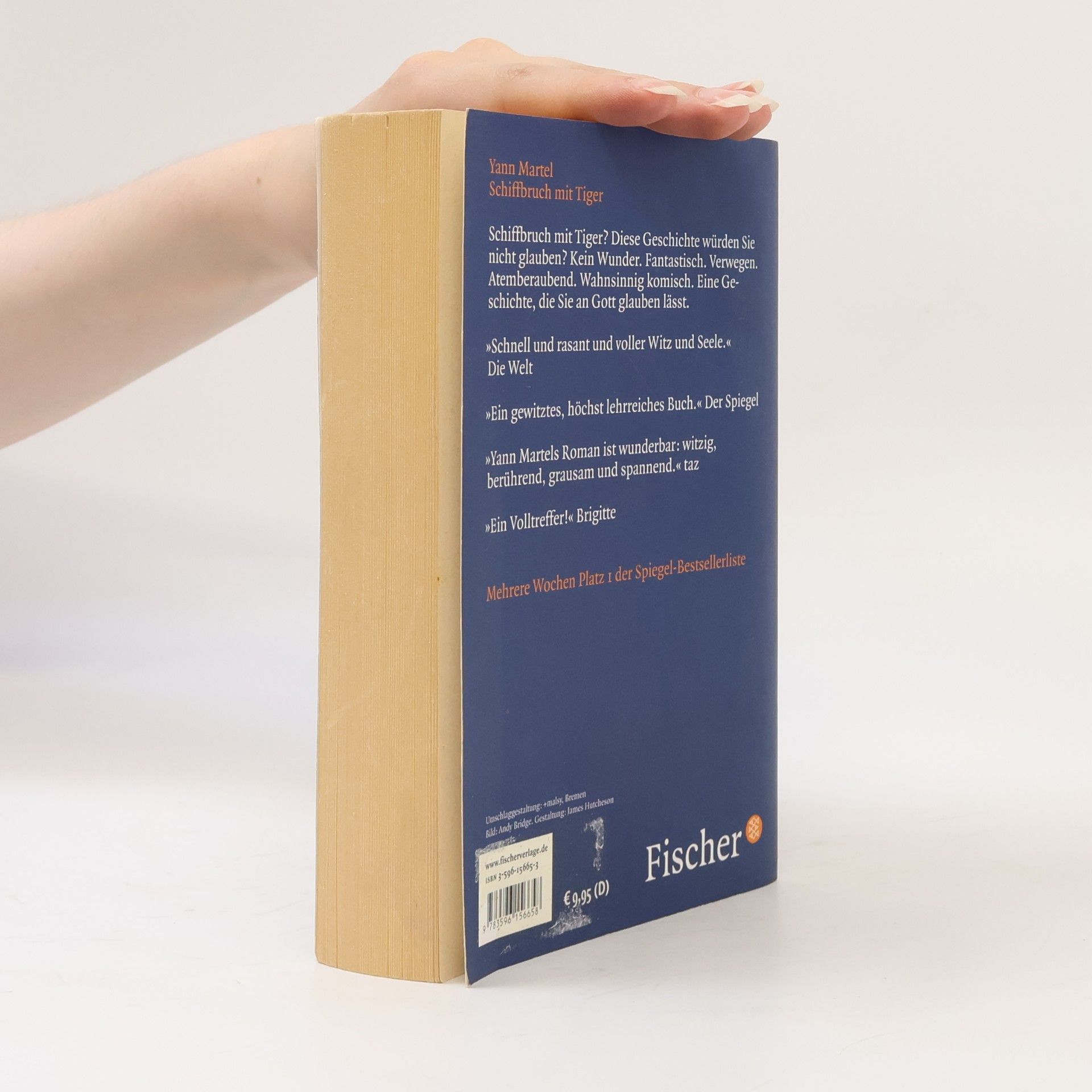 Yann Martel Schiffbruch mit Tiger