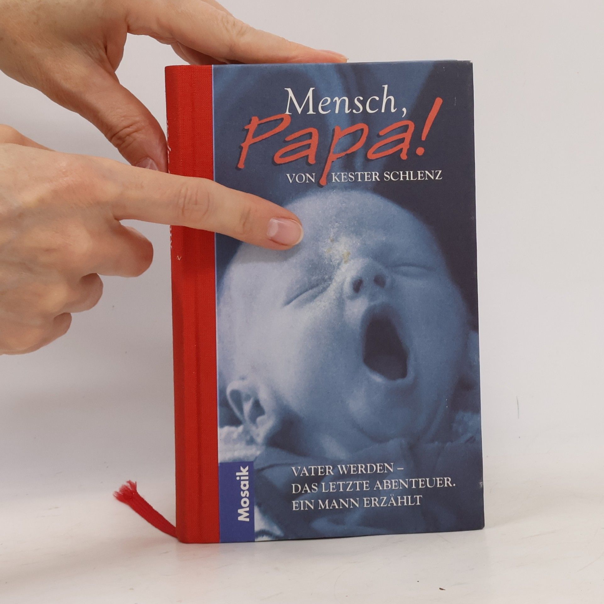 Kester Schlenz Mensch, Papa!
