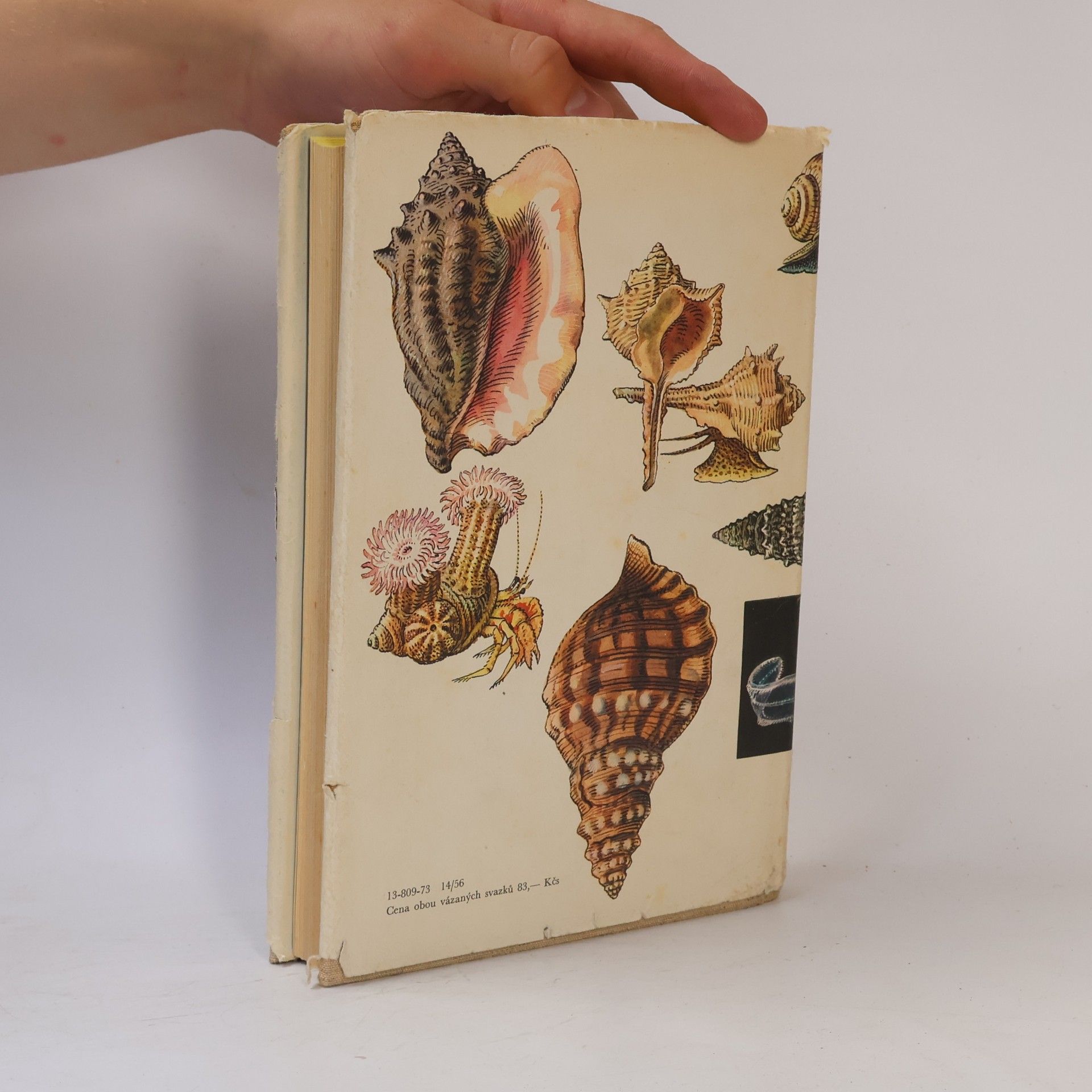 Various authors Světem zvířat V. (1.část)