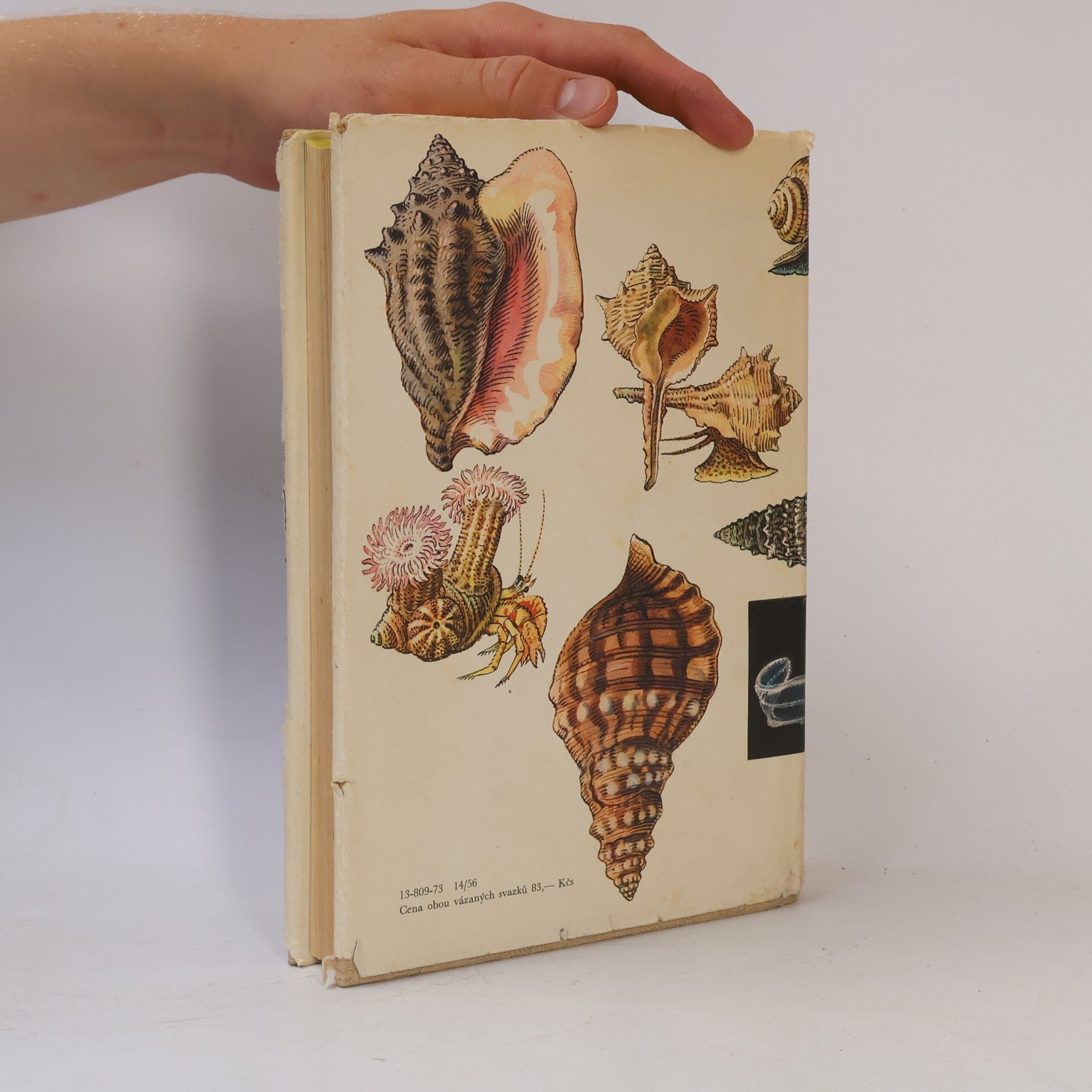 Various authors Světem zvířat V. (1.část)