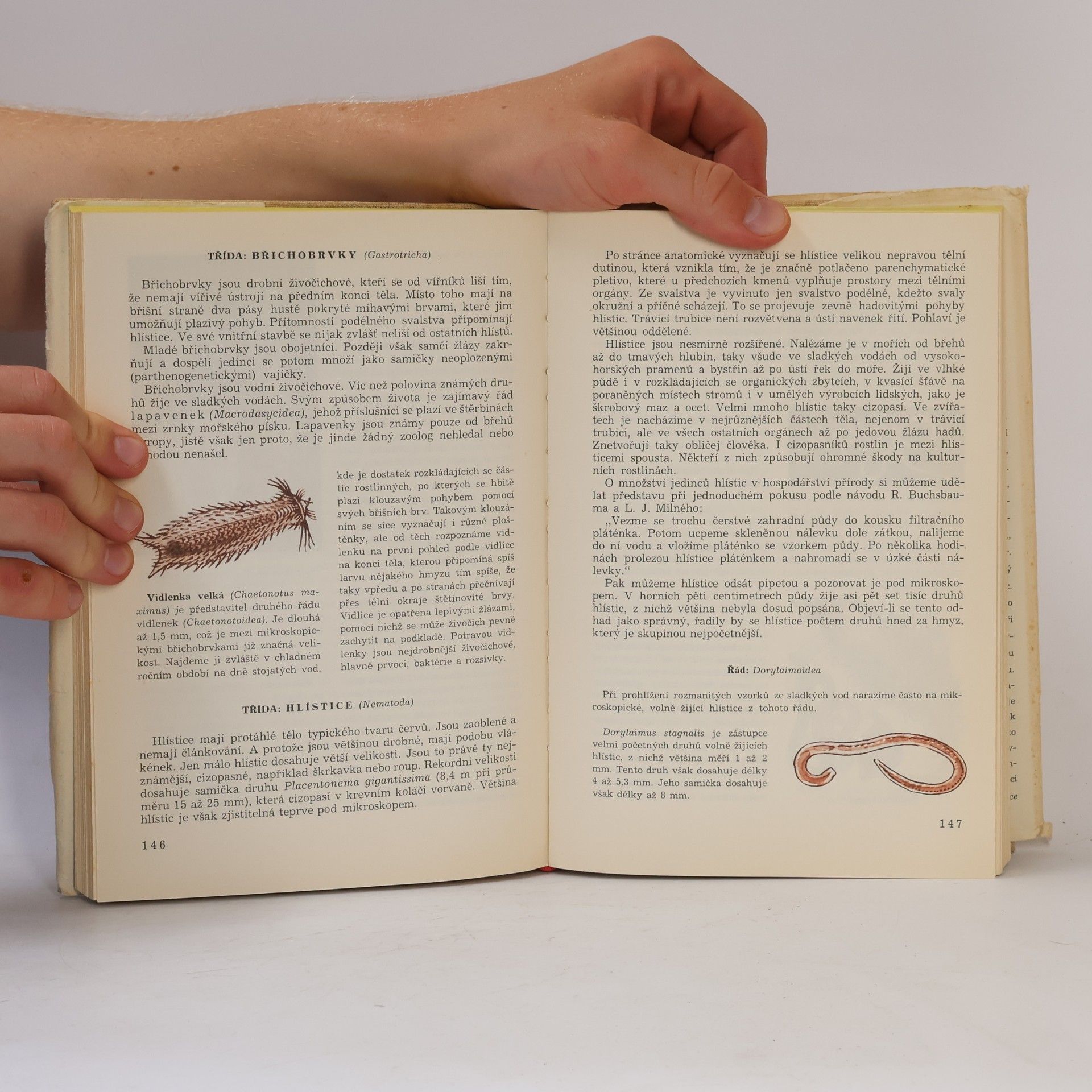Various authors Světem zvířat V. (1.část)
