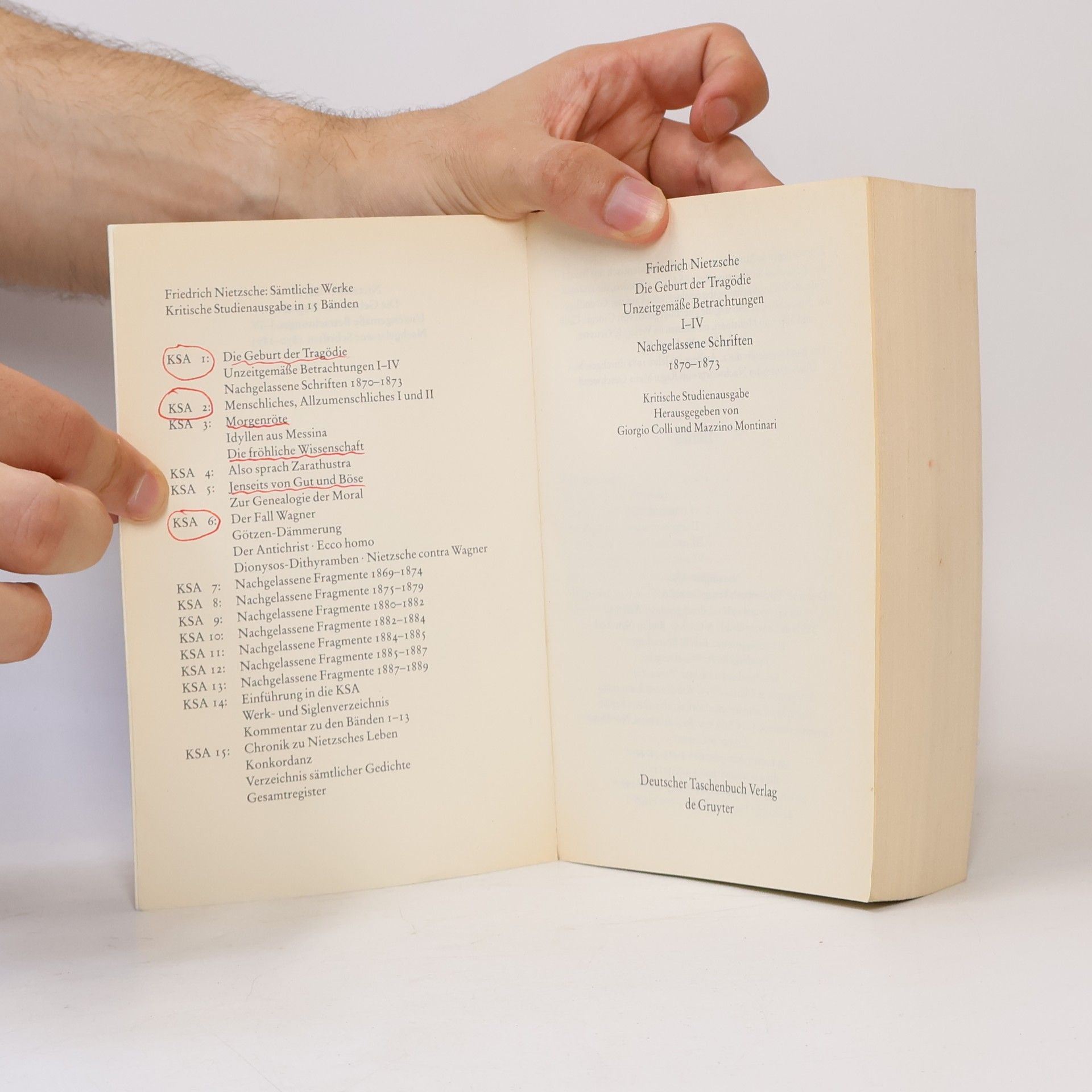 Friedrich Nietzsche Die Geburt der Tragödie. Unzeitgemäße Betrachtungen 1-4. Nachgelassene Schriften 1870-1873