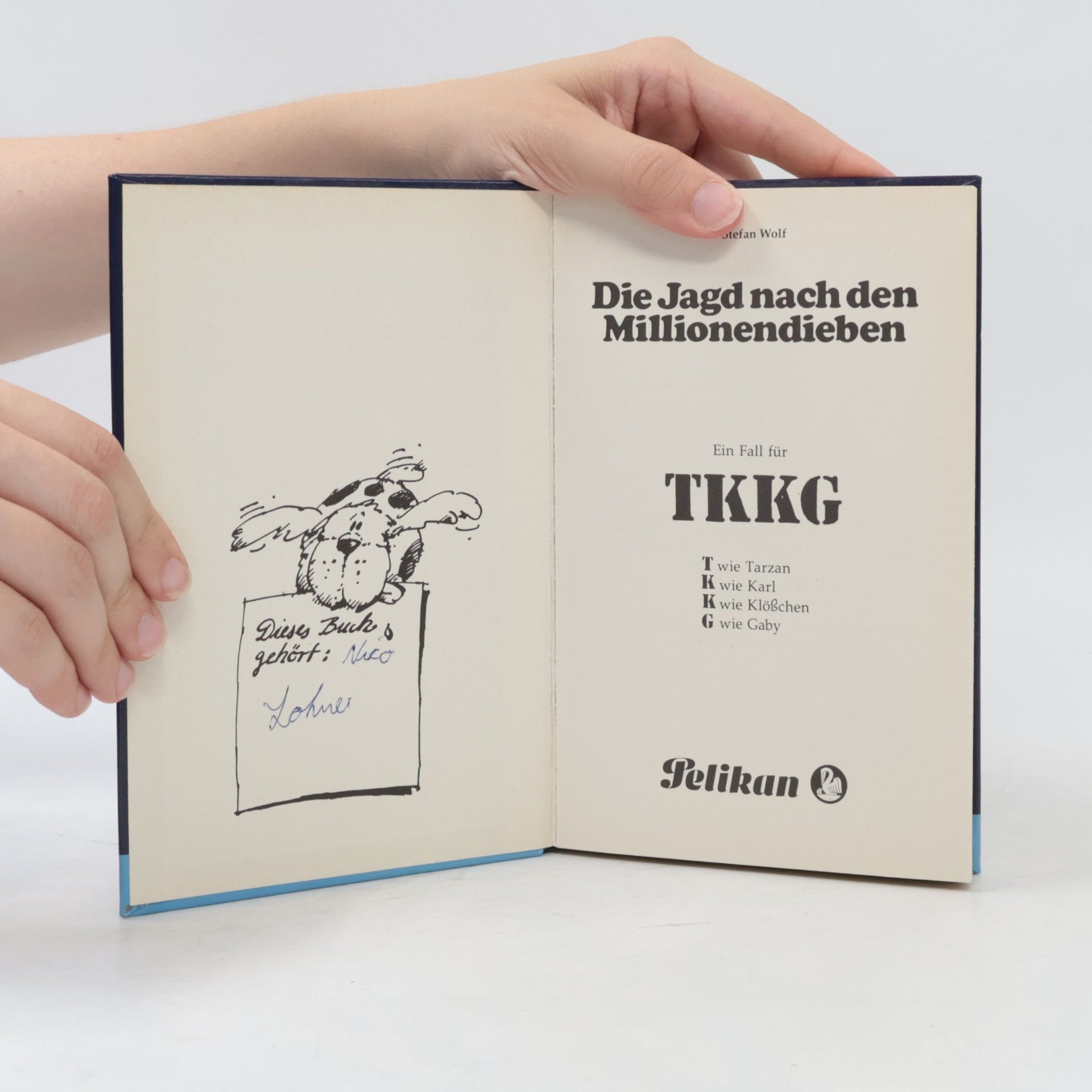 Stefan Wolf Ein Fall für TKKG. Die Jagd nach den Millionendieben