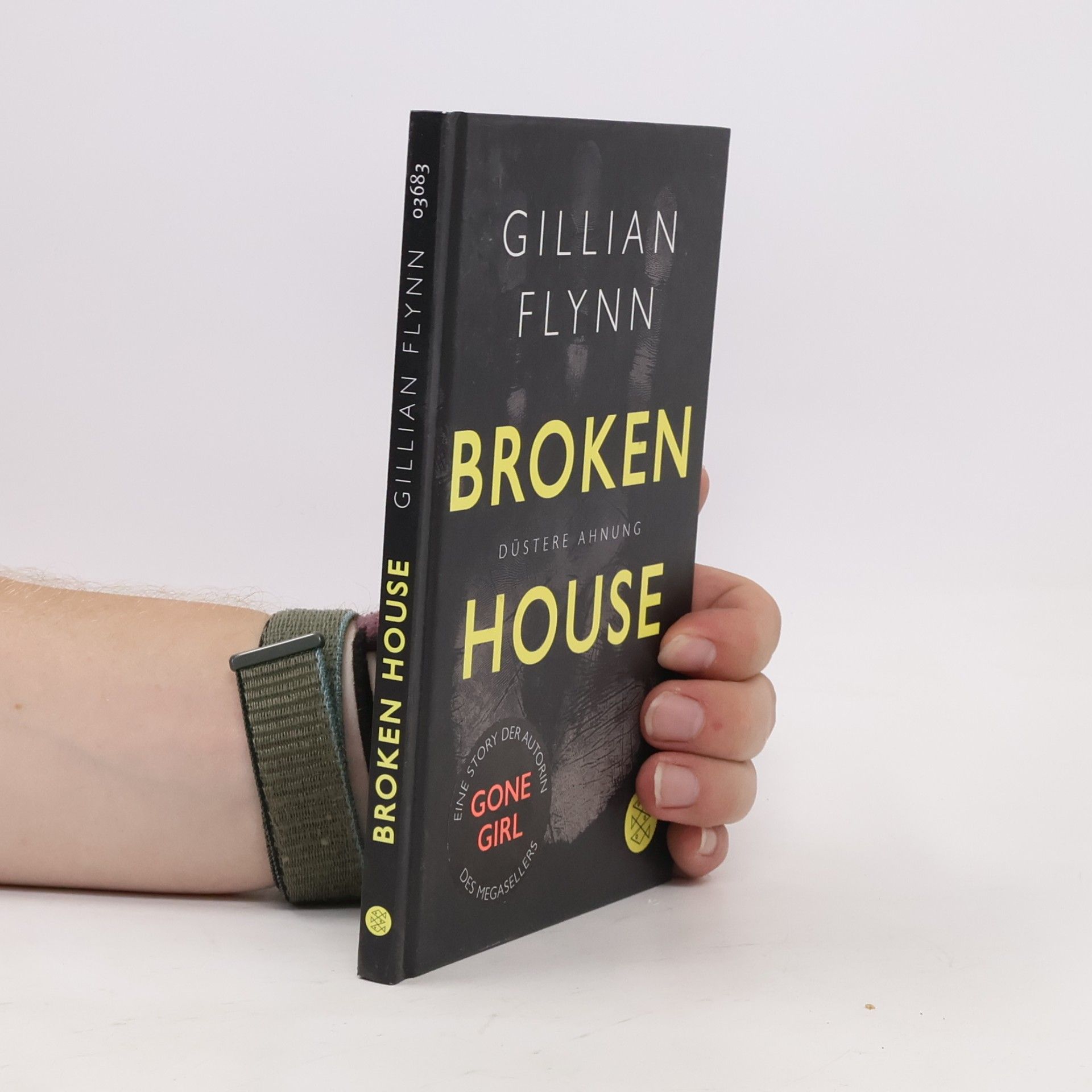 Gillian Flynn Broken House