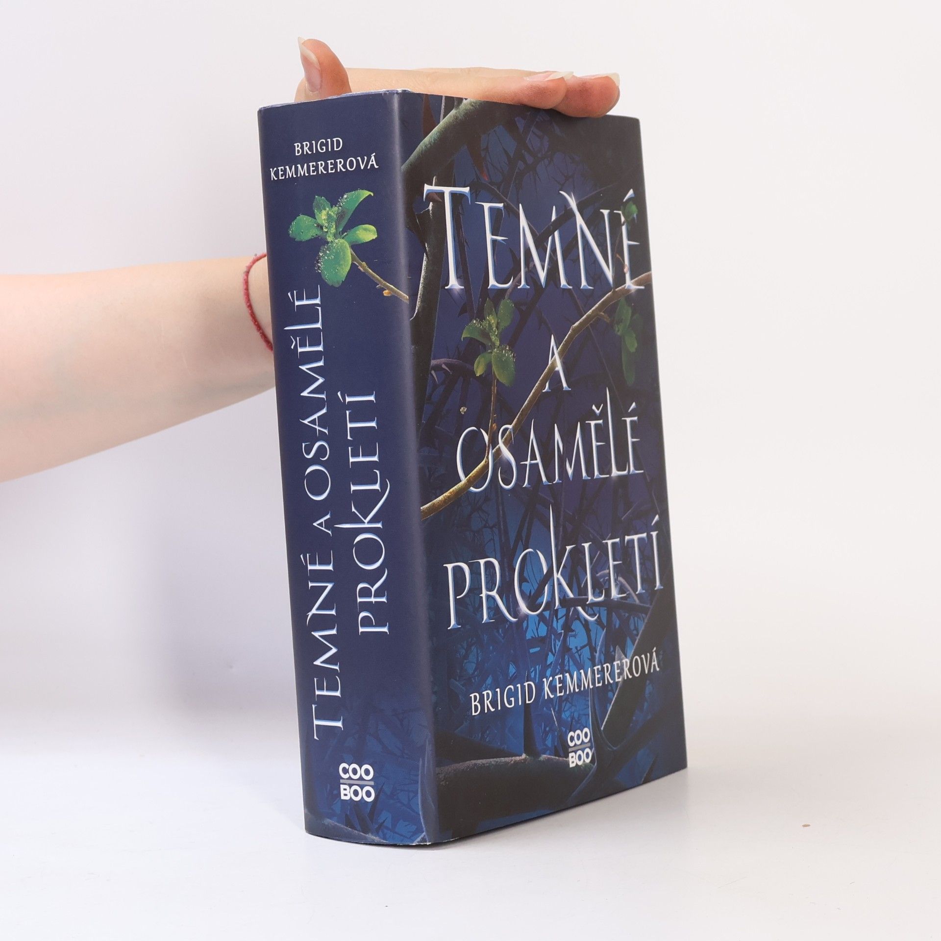 Brigid Kemmerer Temné a osamělé prokletí