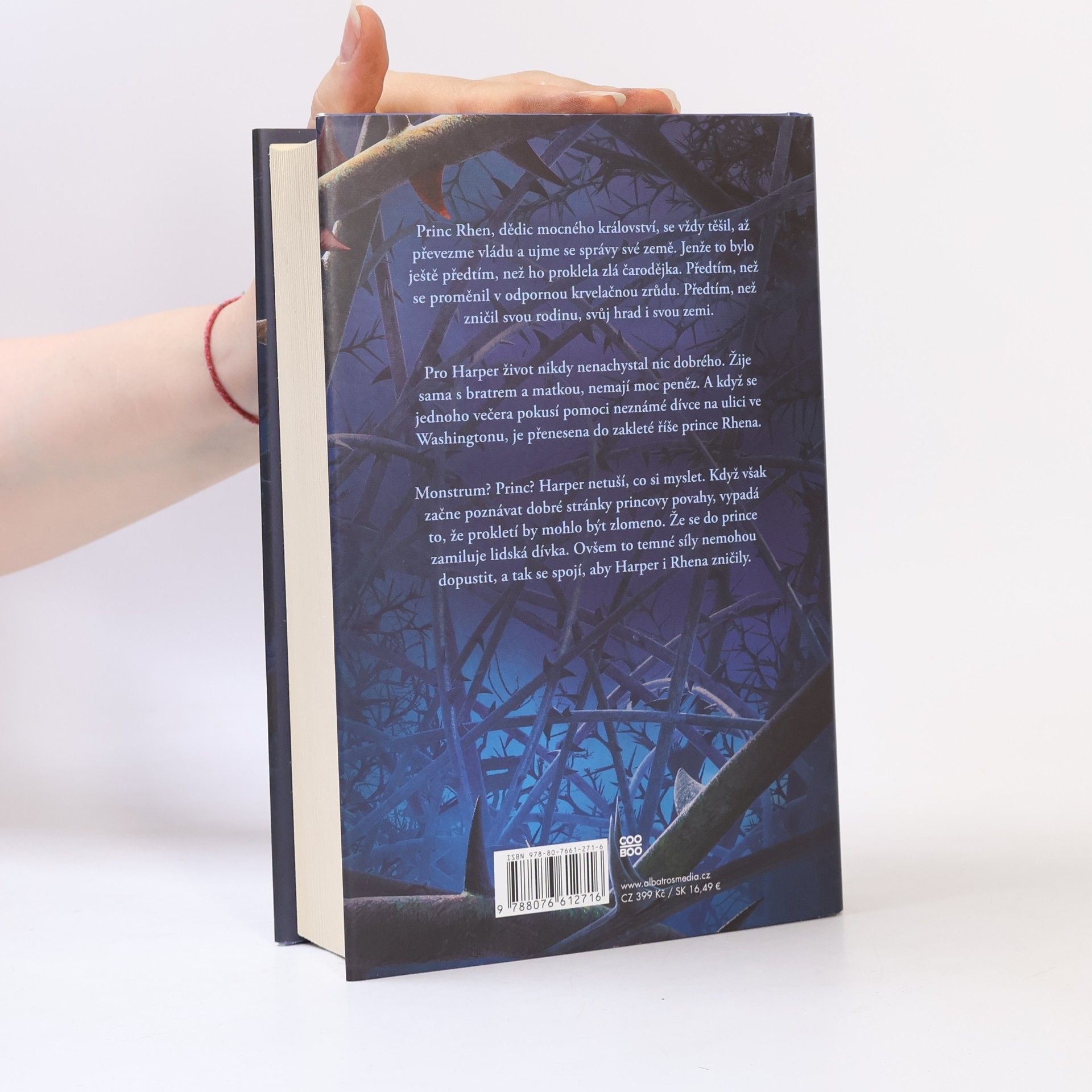 Brigid Kemmerer Temné a osamělé prokletí