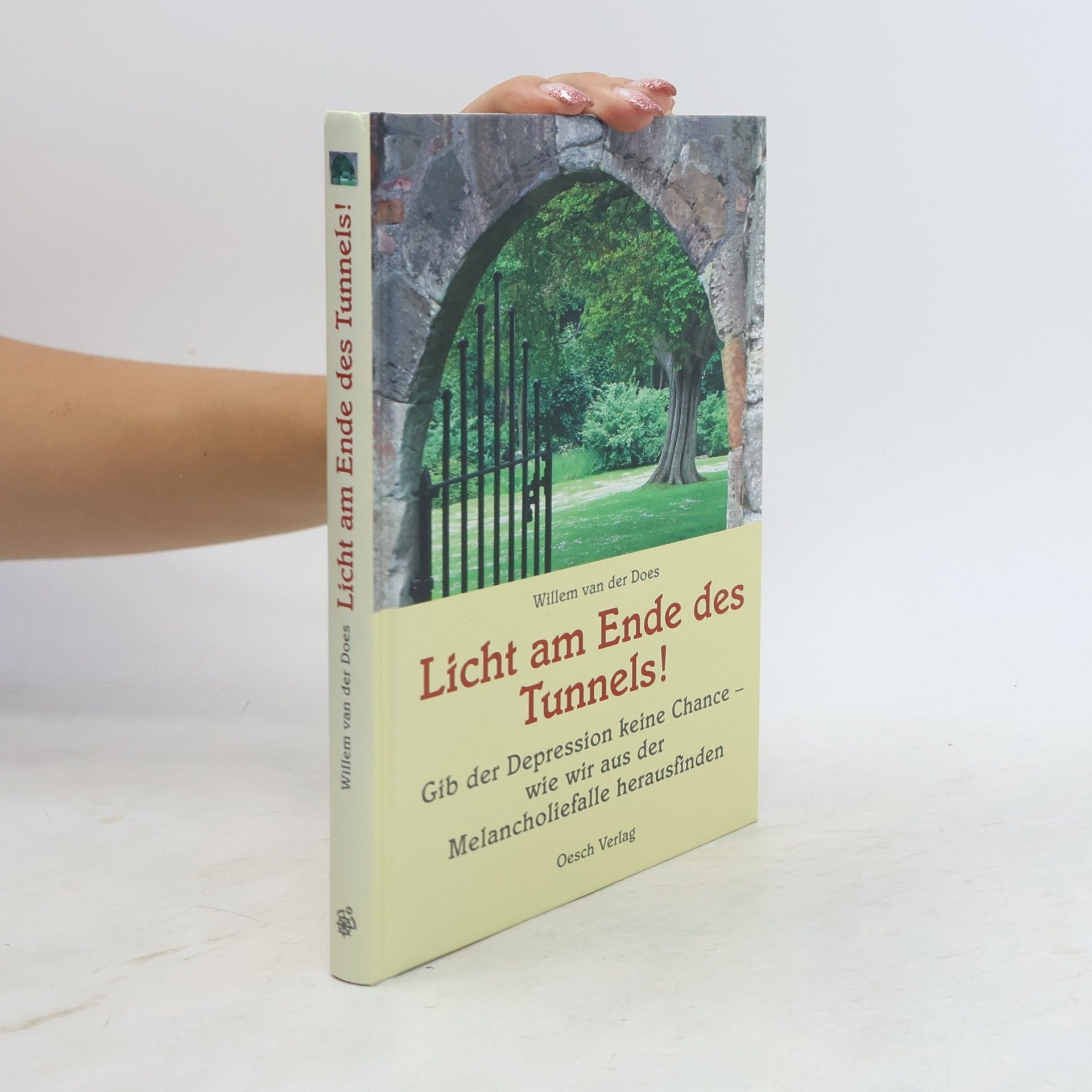 Willem van der Does Licht am Ende des Tunnels!