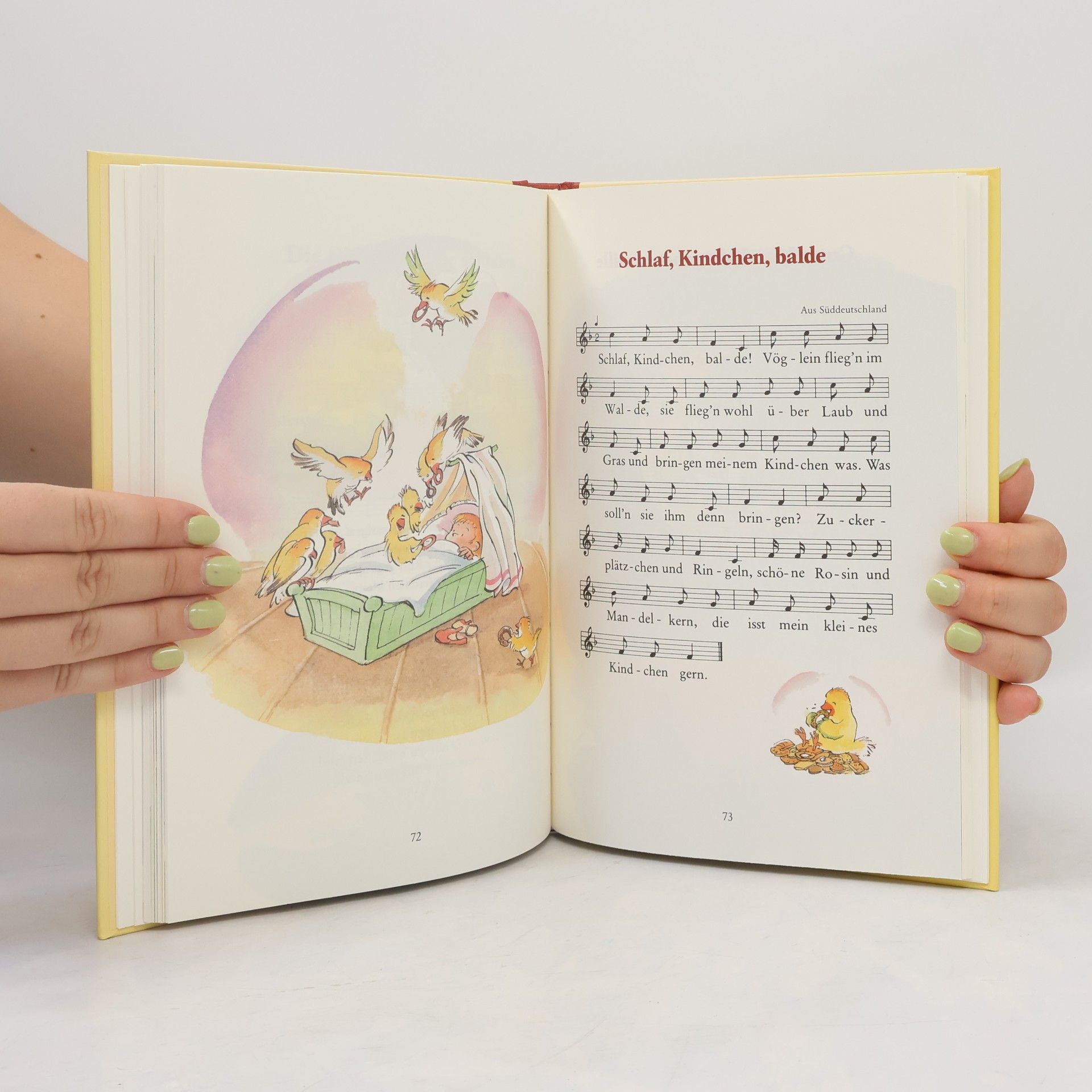 Autorenkollektiv Die schönsten klassischen Kinderlieder