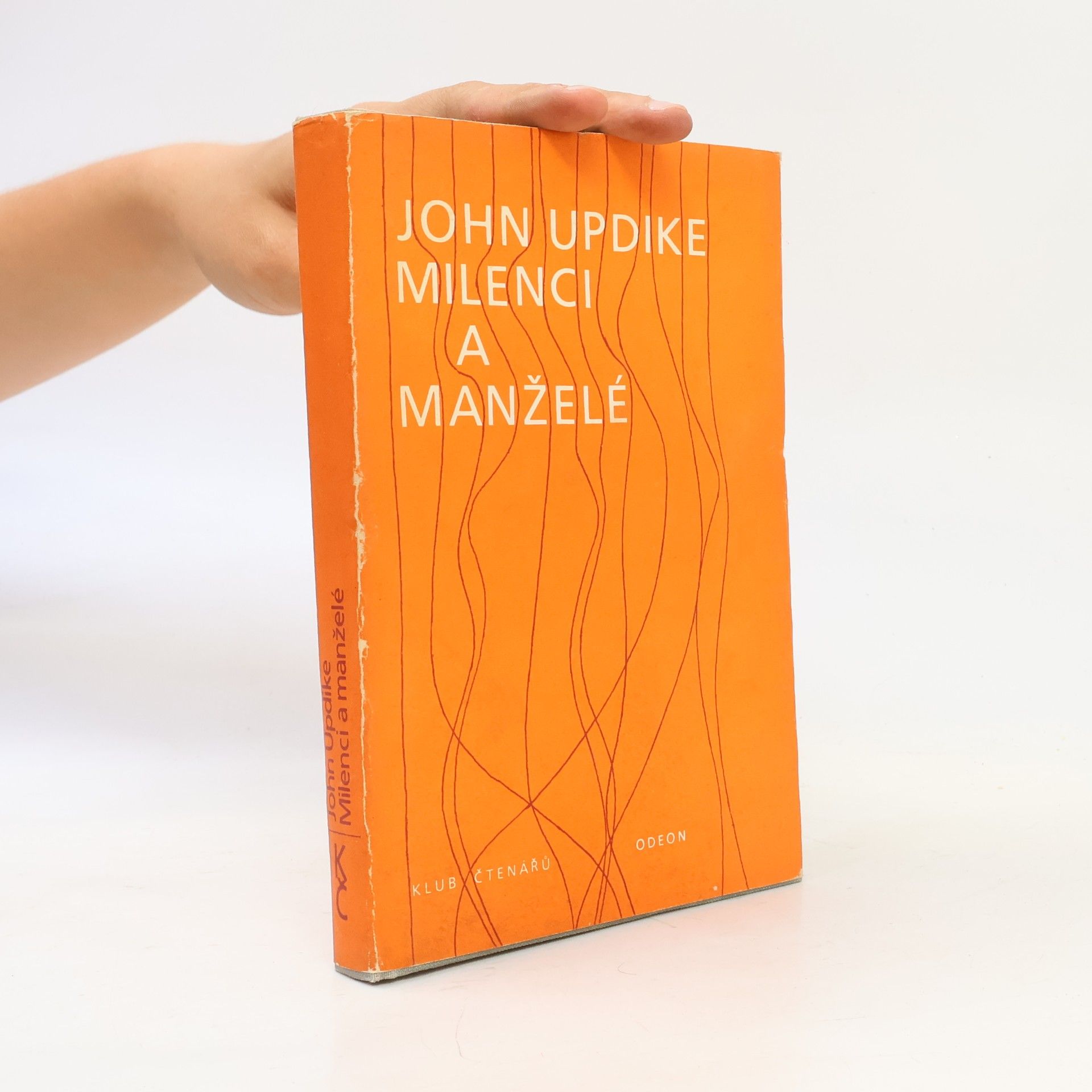 John Updike Milenci a manželé