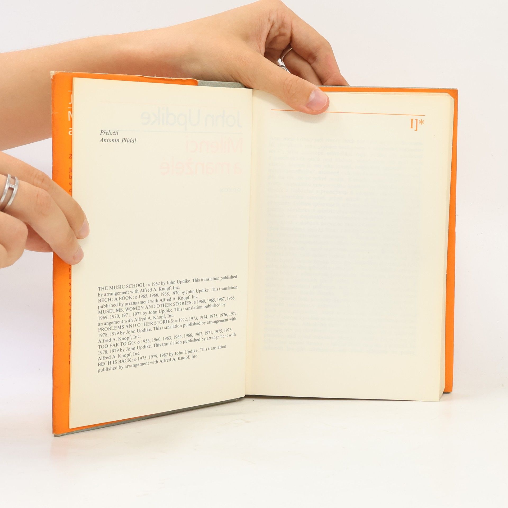 John Updike Milenci a manželé