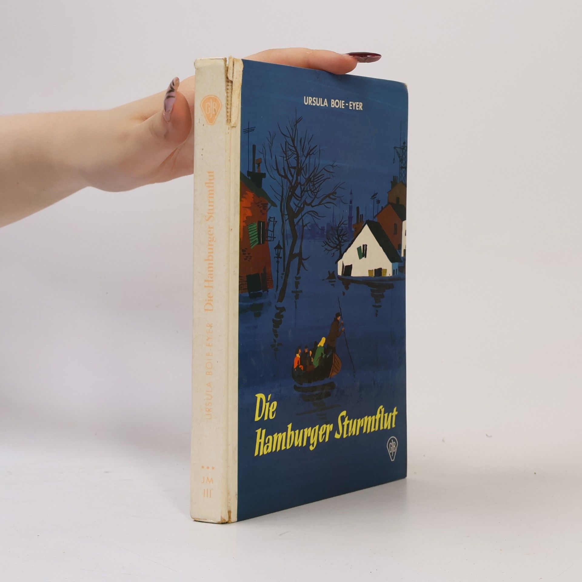 Ursula Boie-Eyer Die Hamburger Sturmflut