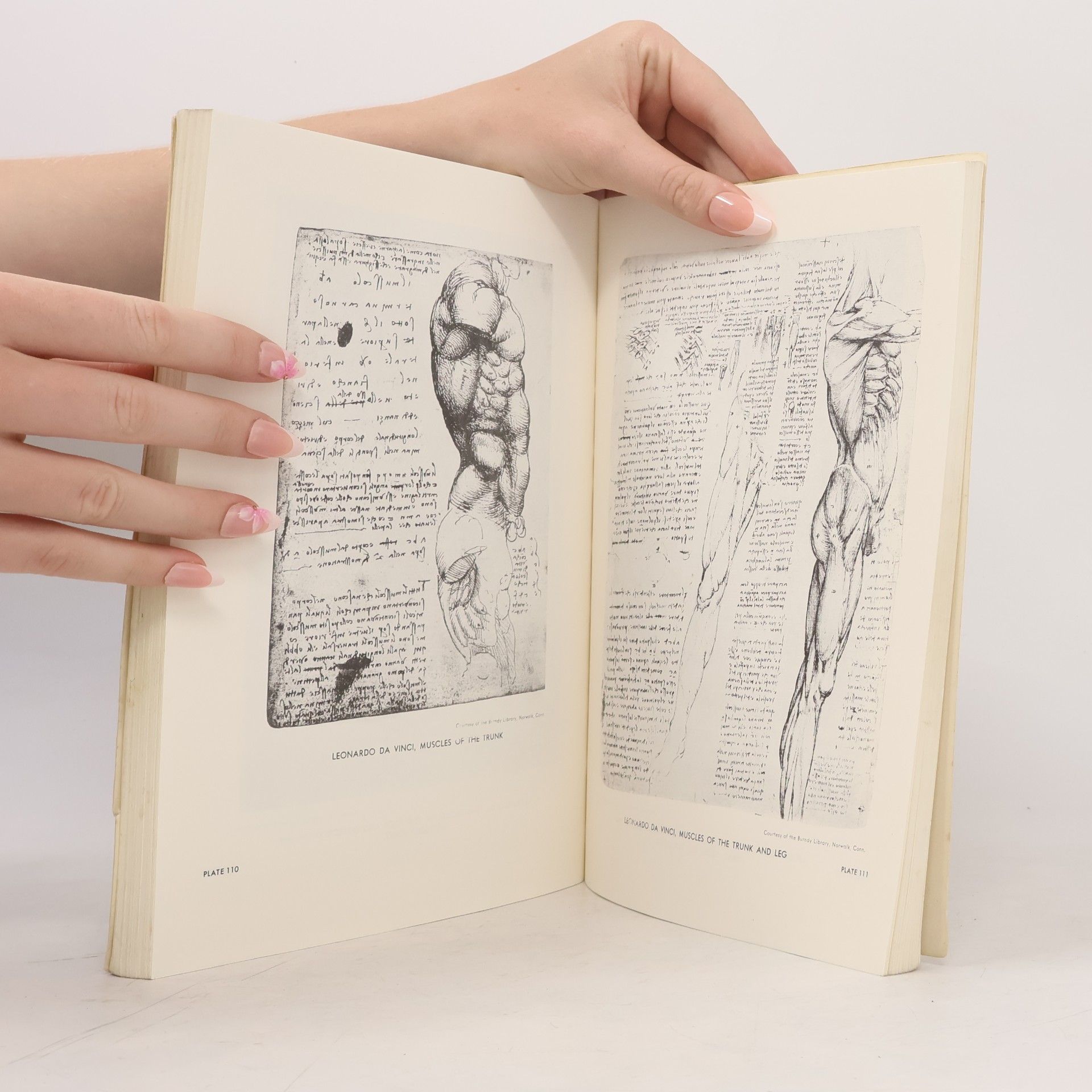 Fritz Schider An Atlas of Anatomy for Artists