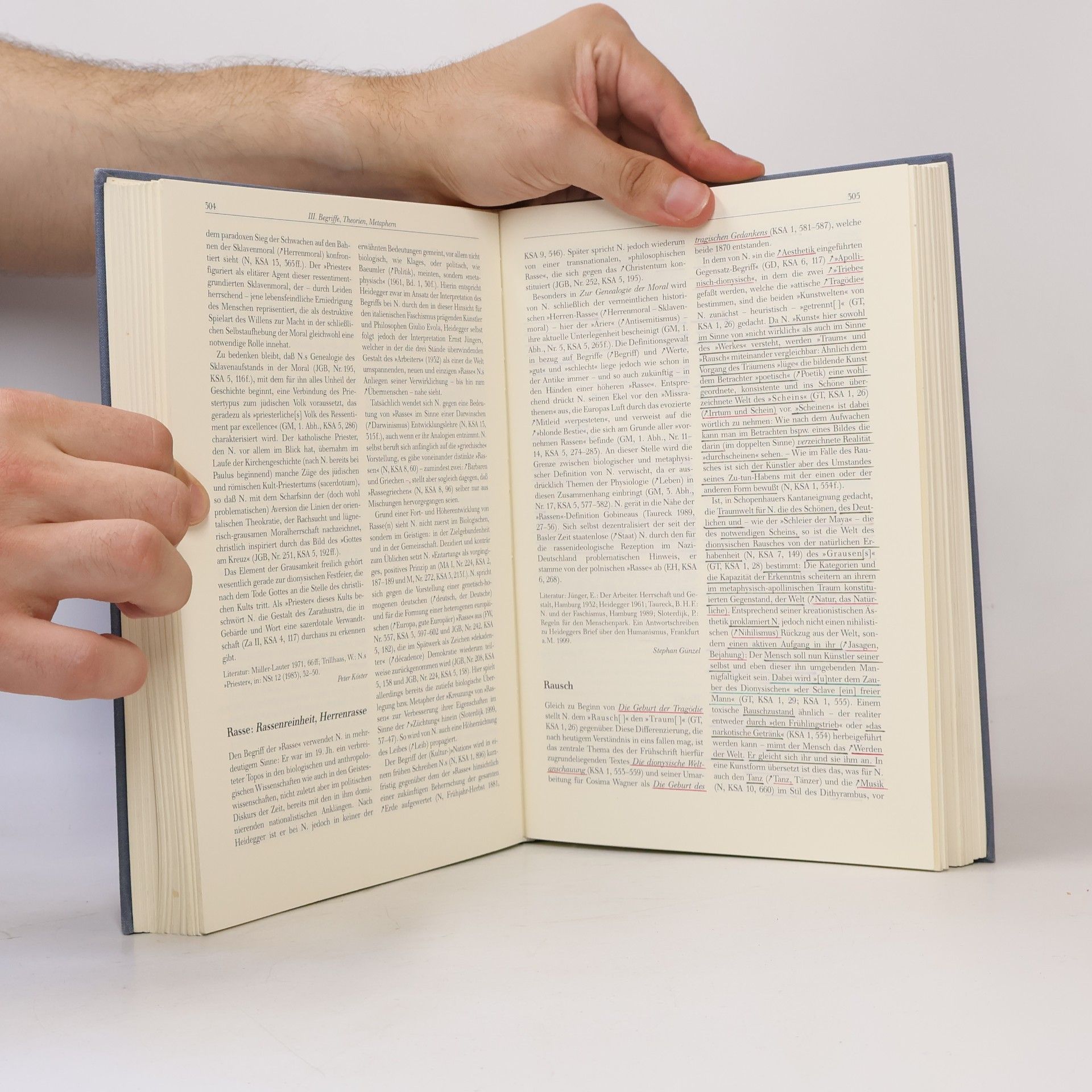 Henning Ottmann Nietzsche-Handbuch