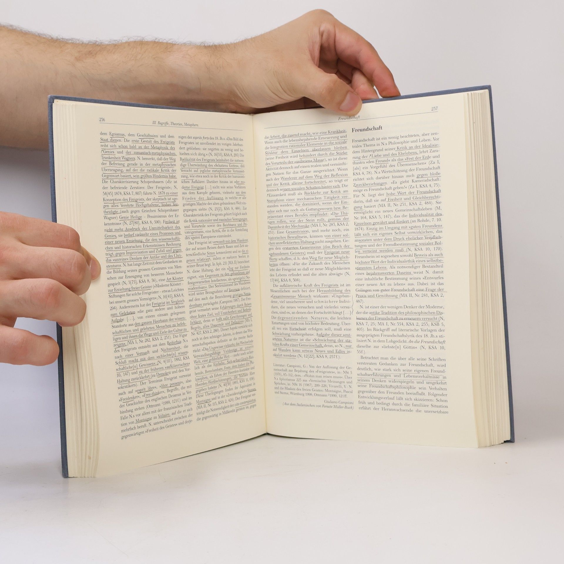 Henning Ottmann Nietzsche-Handbuch