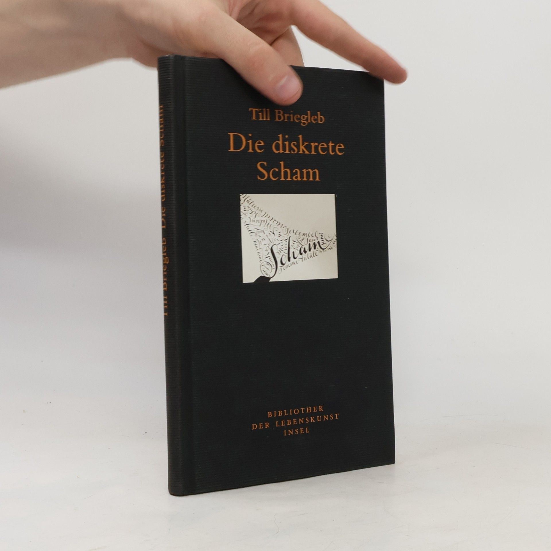 Till Briegleb Die diskrete Scham