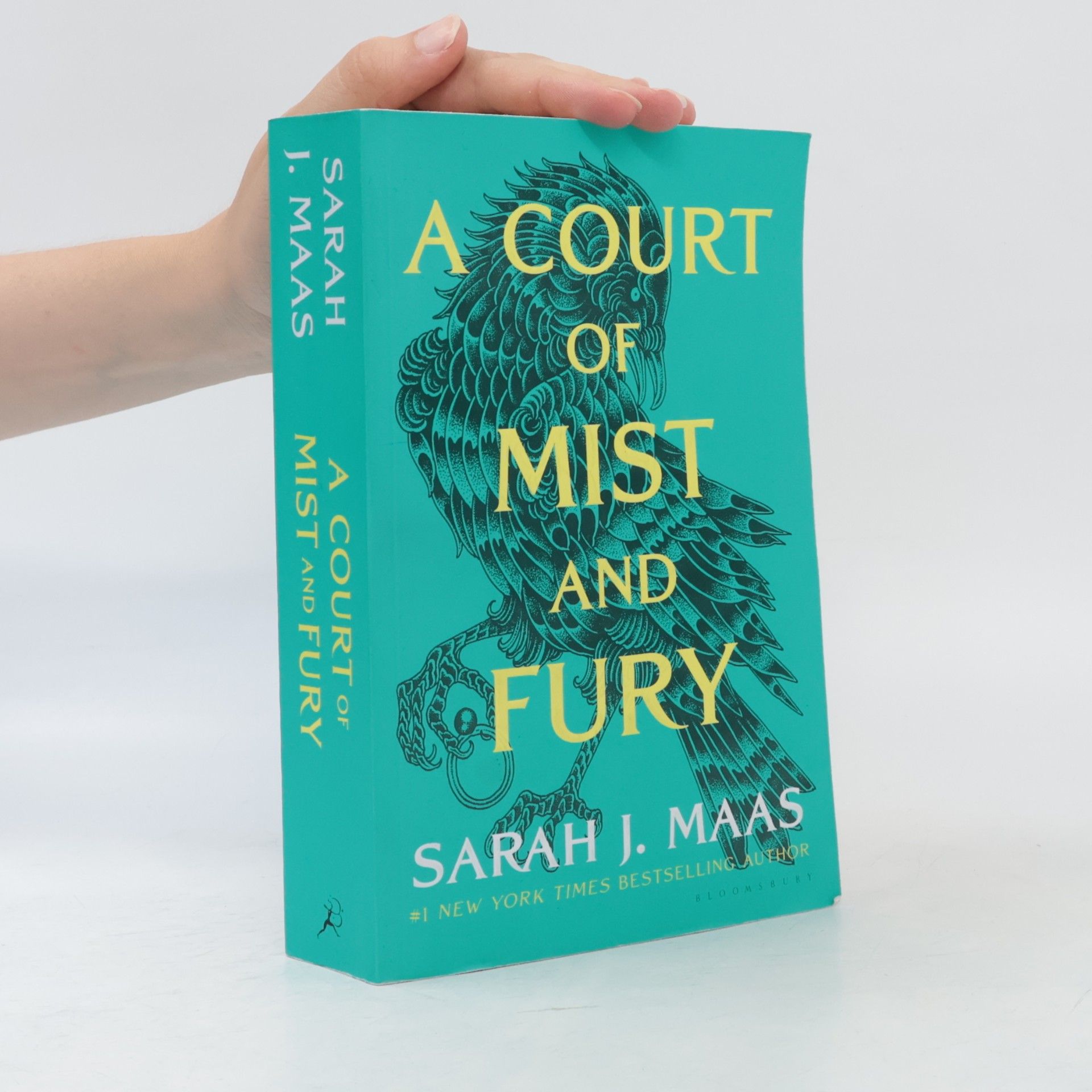A Court of Mist and Fury
